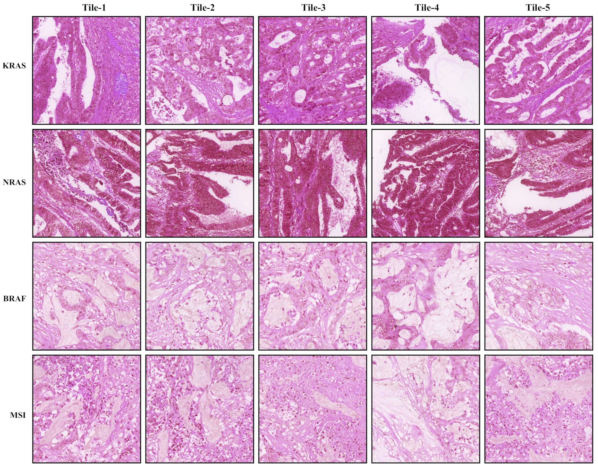 Cancers 14 04144 g009