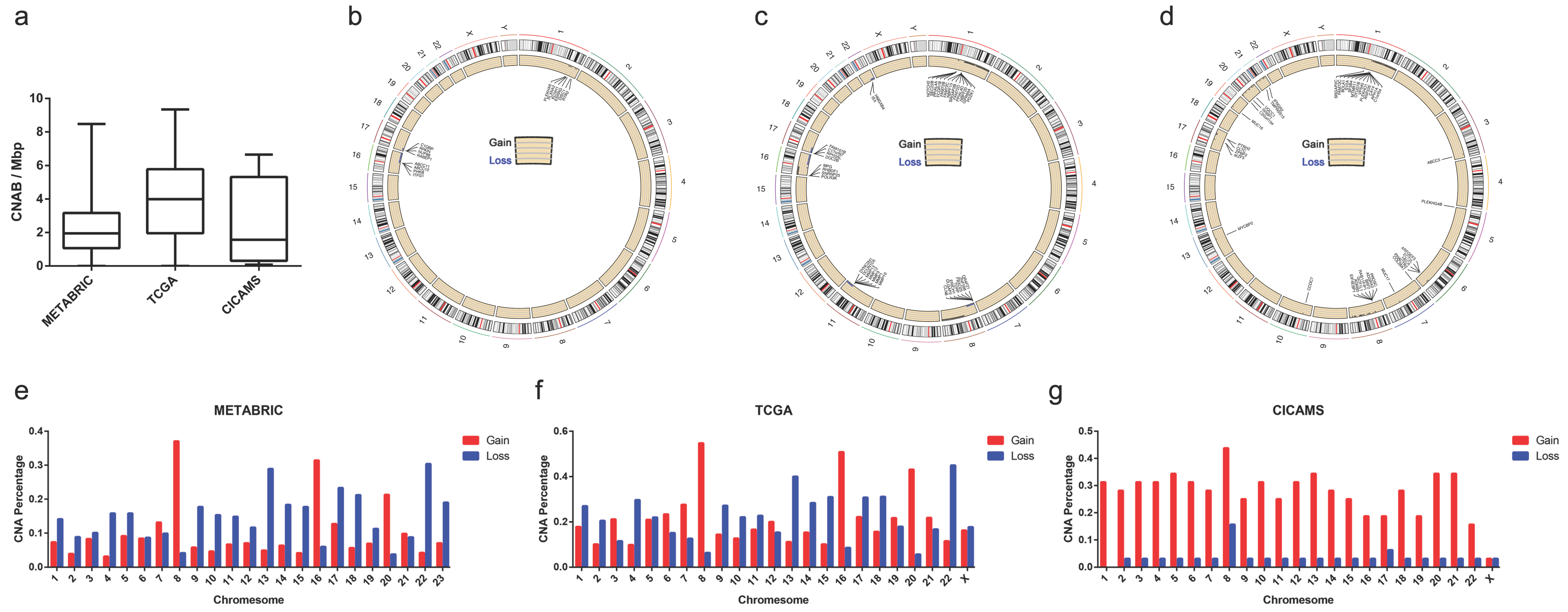 Cancers 14 04145 g001 550