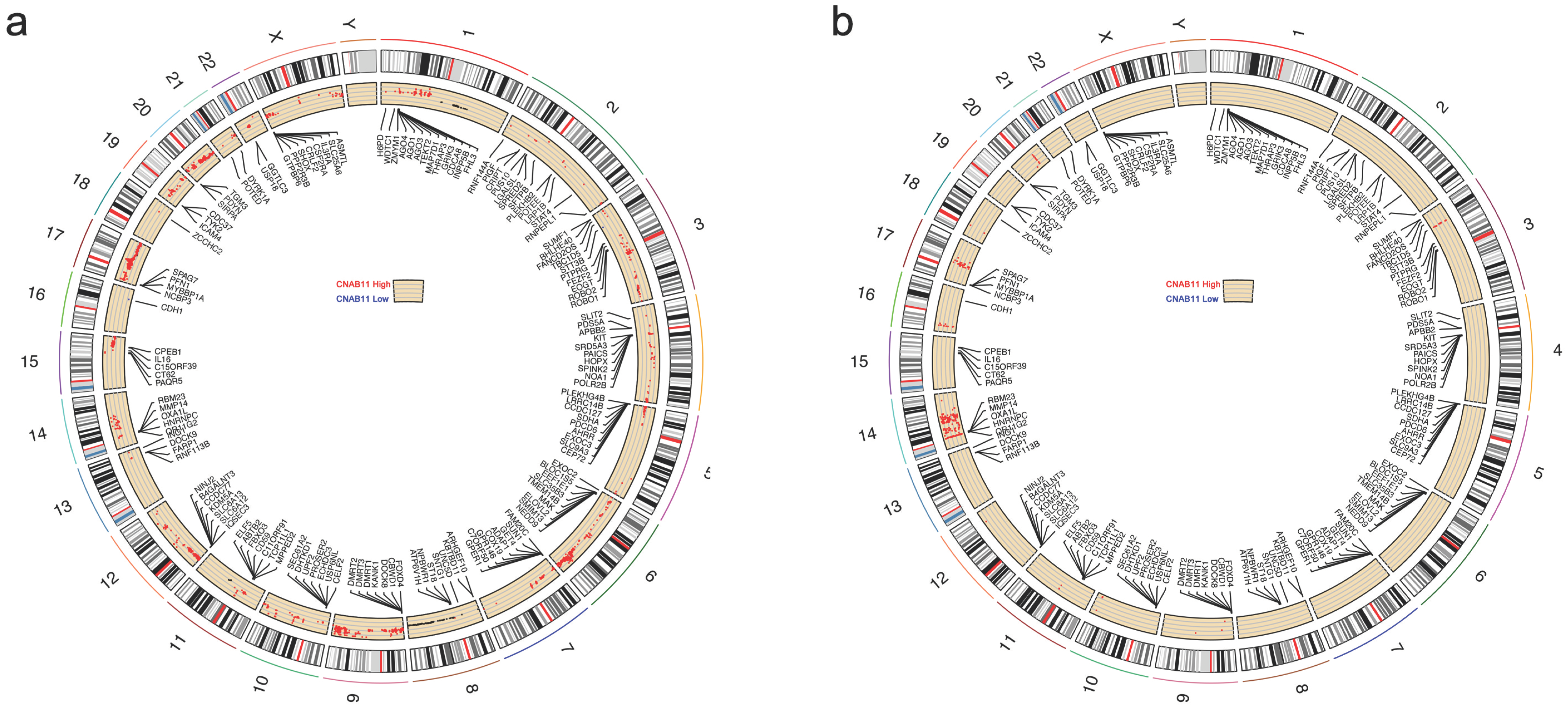 Cancers 14 04145 g005 550