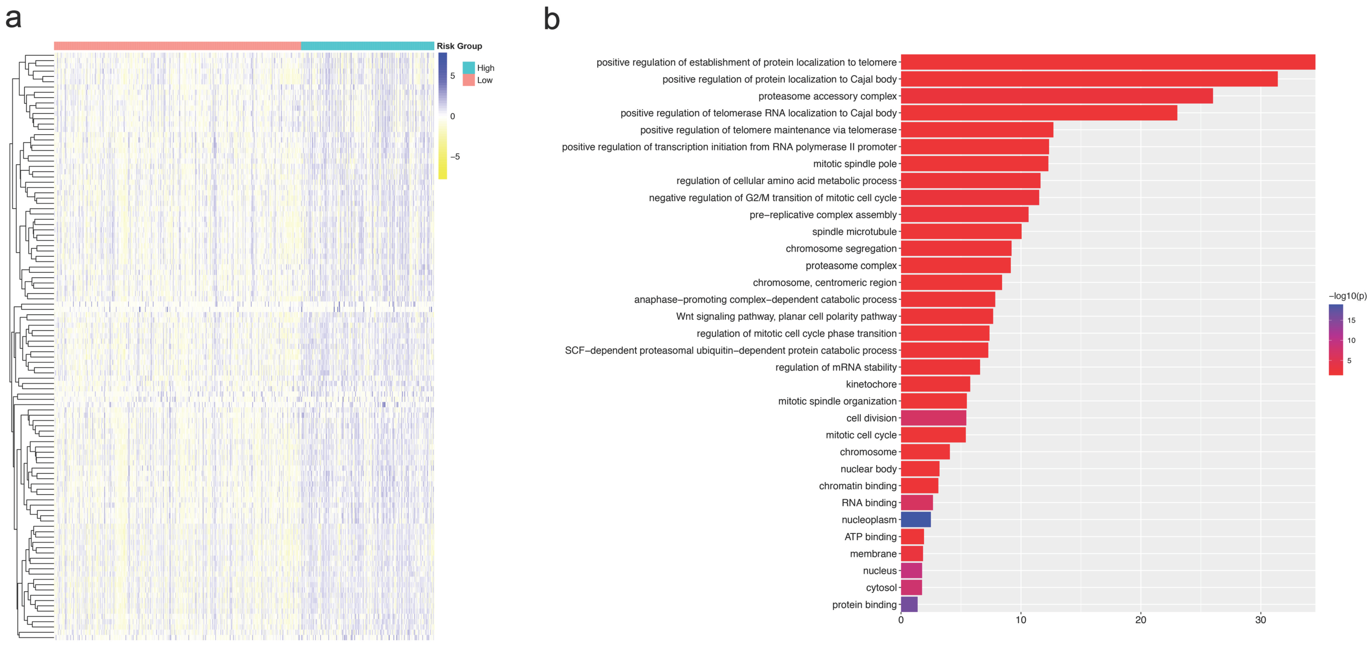 Cancers 14 04145 g006 550