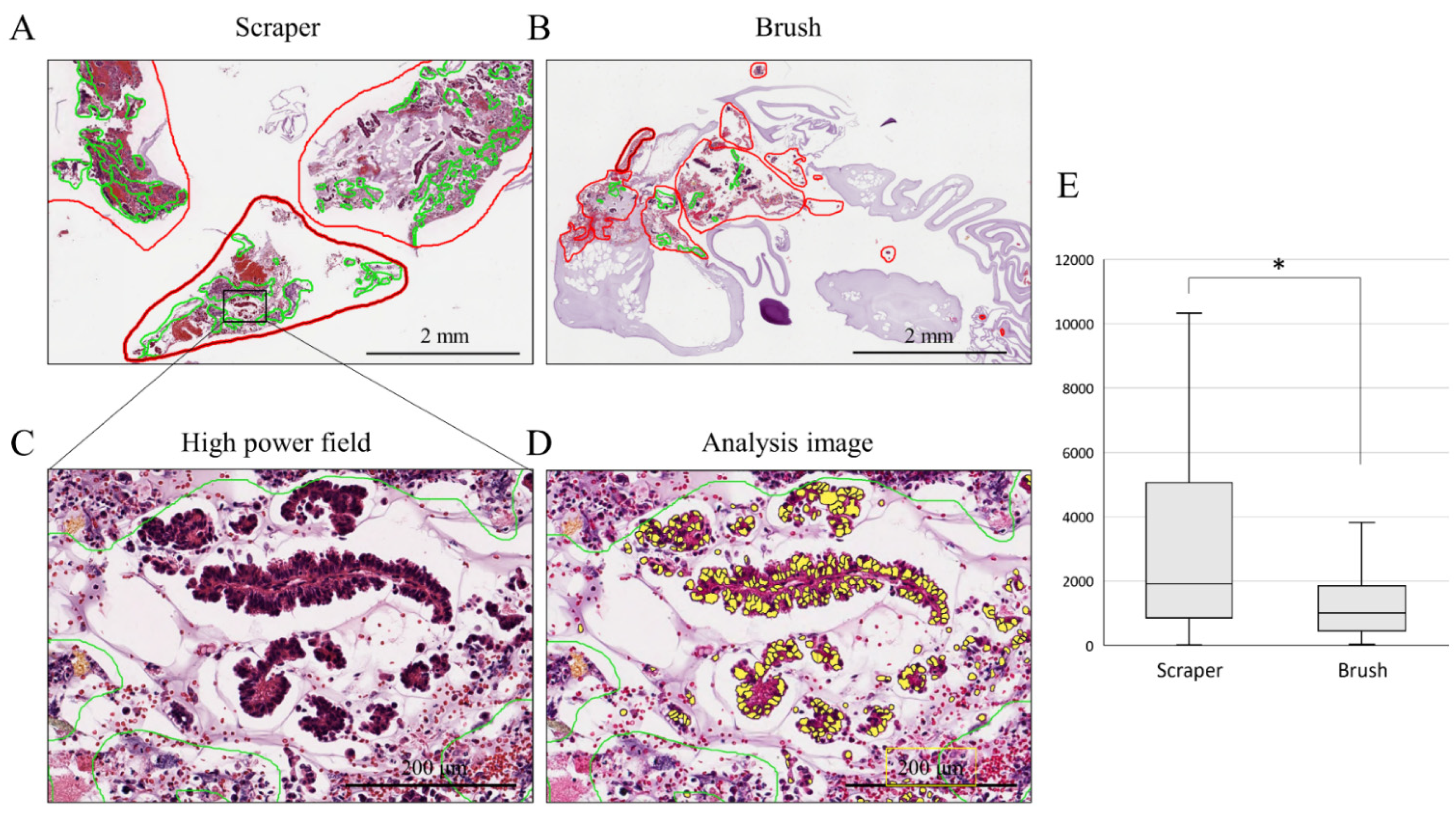 Cancers 14 04147 g001