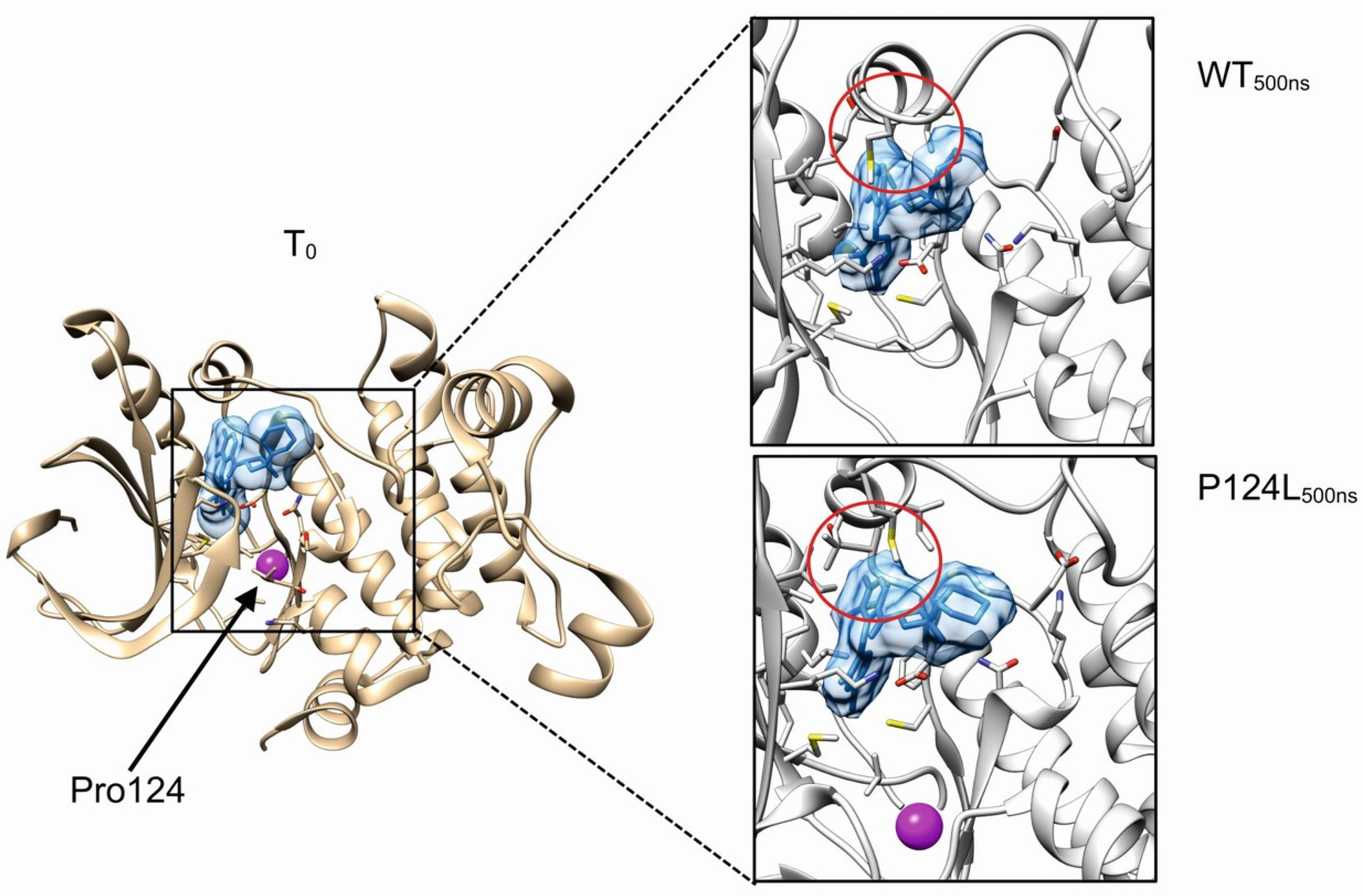 Cancers 14 04153 g001