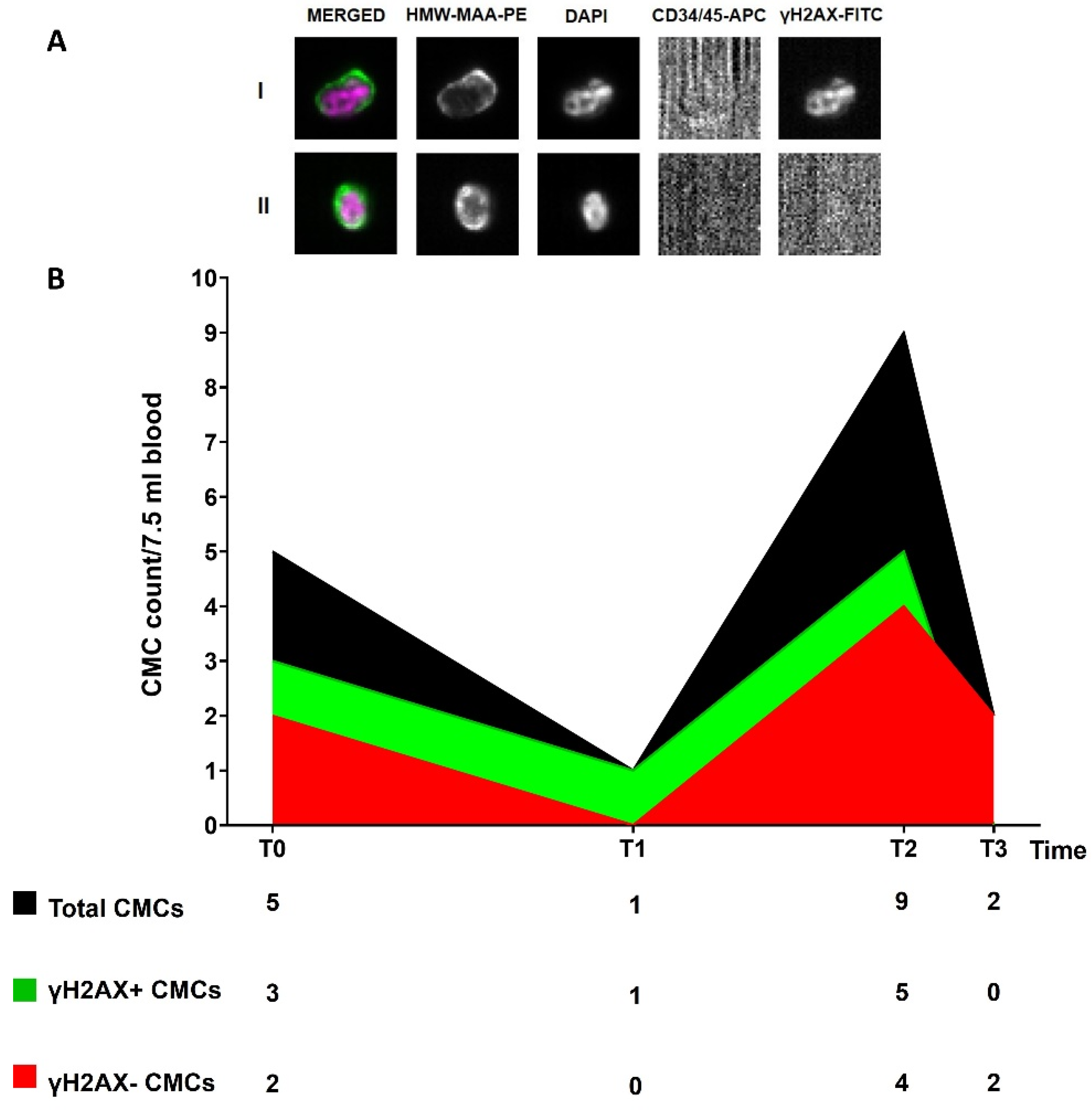 Cancers 14 04153 g003