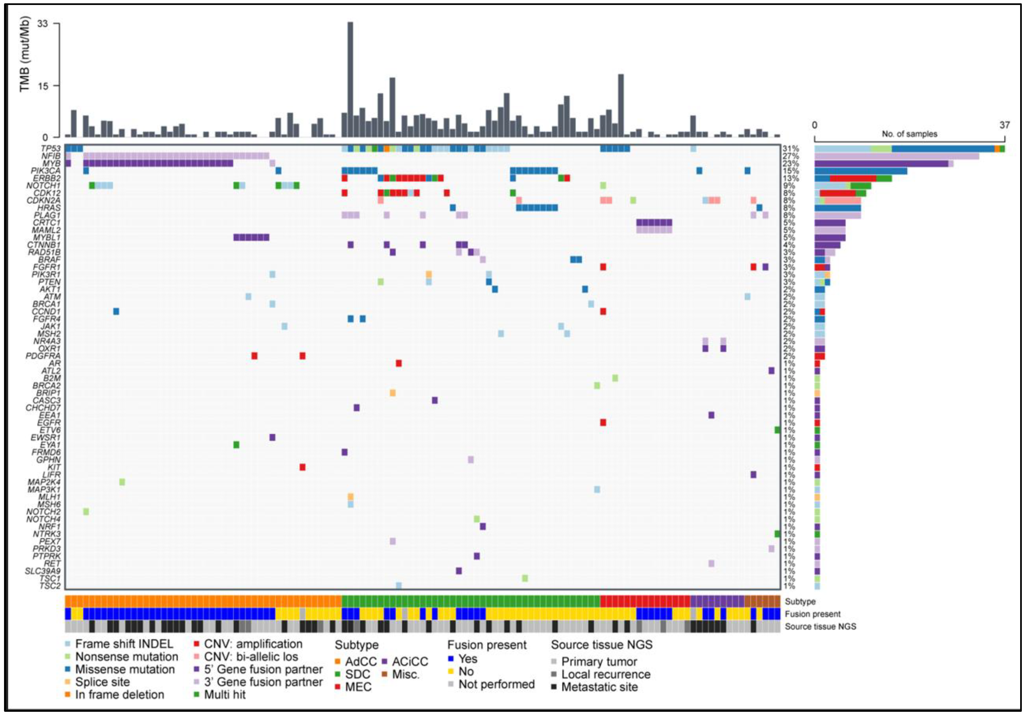 Cancers 14 04156 g002 Cancers 14 04156 g002