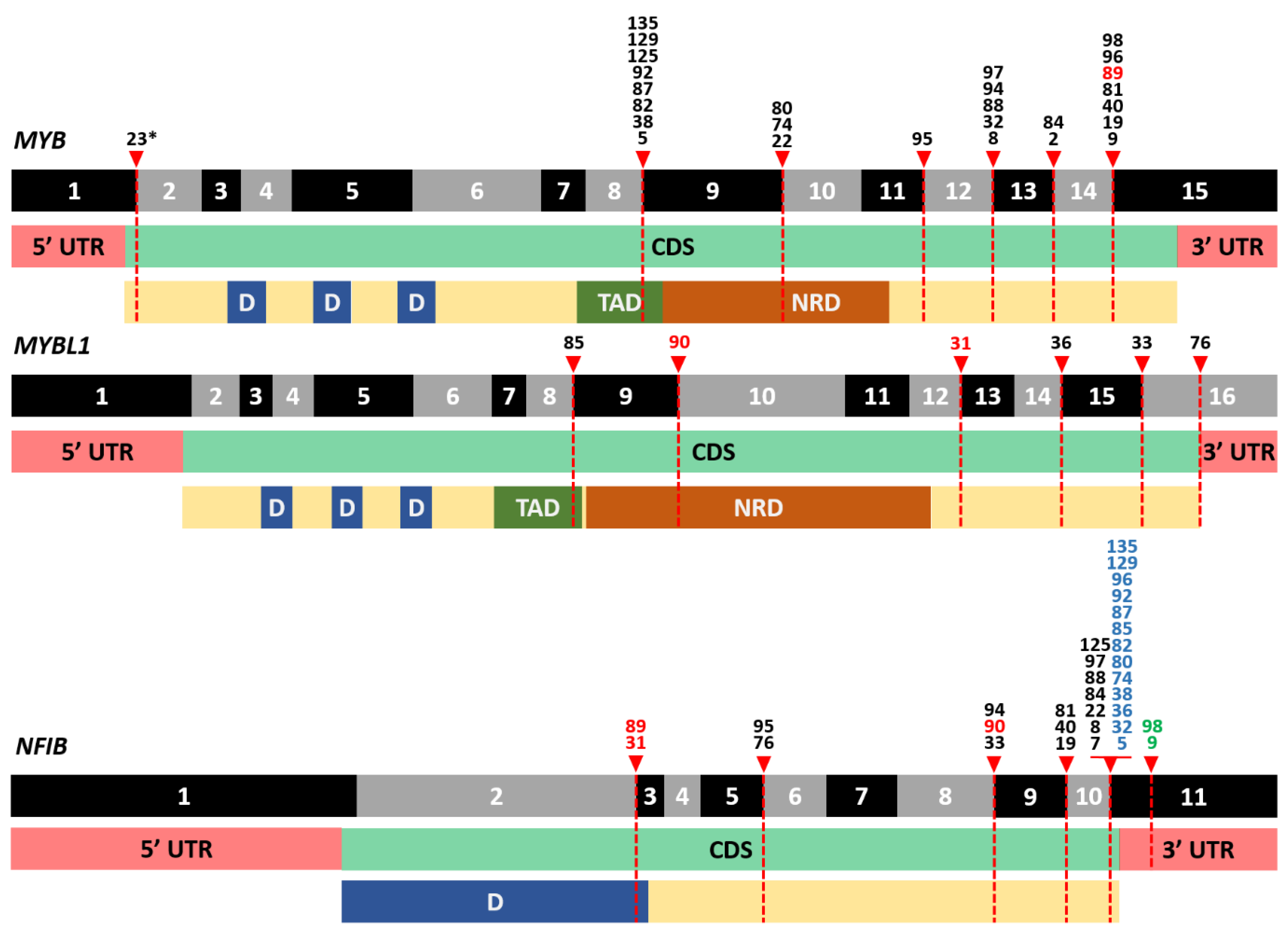 Cancers 14 04156 g003 Cancers 14 04156 g003