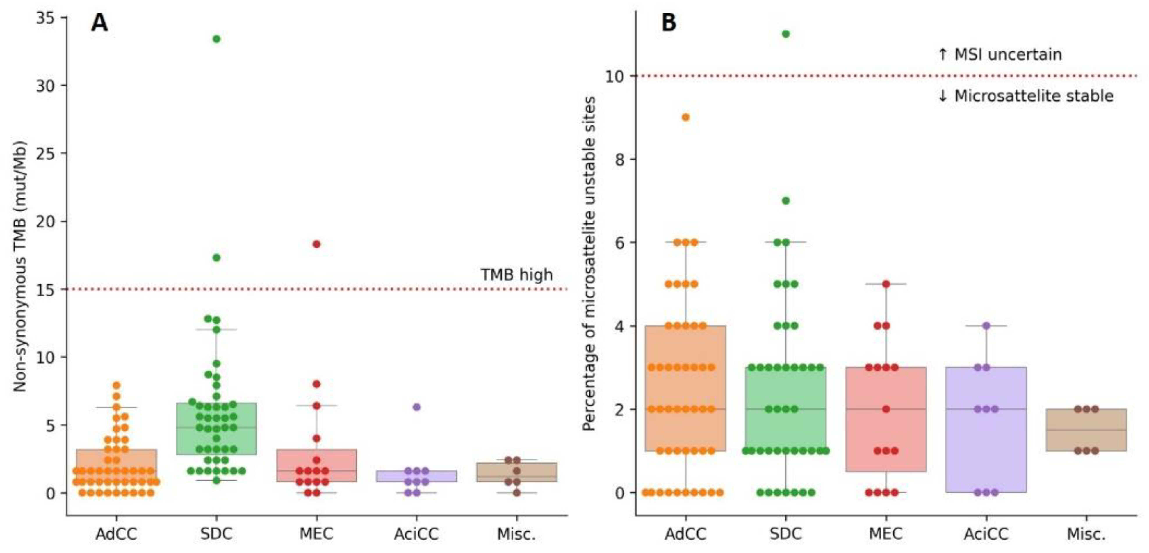 Cancers 14 04156 g004 Cancers 14 04156 g004