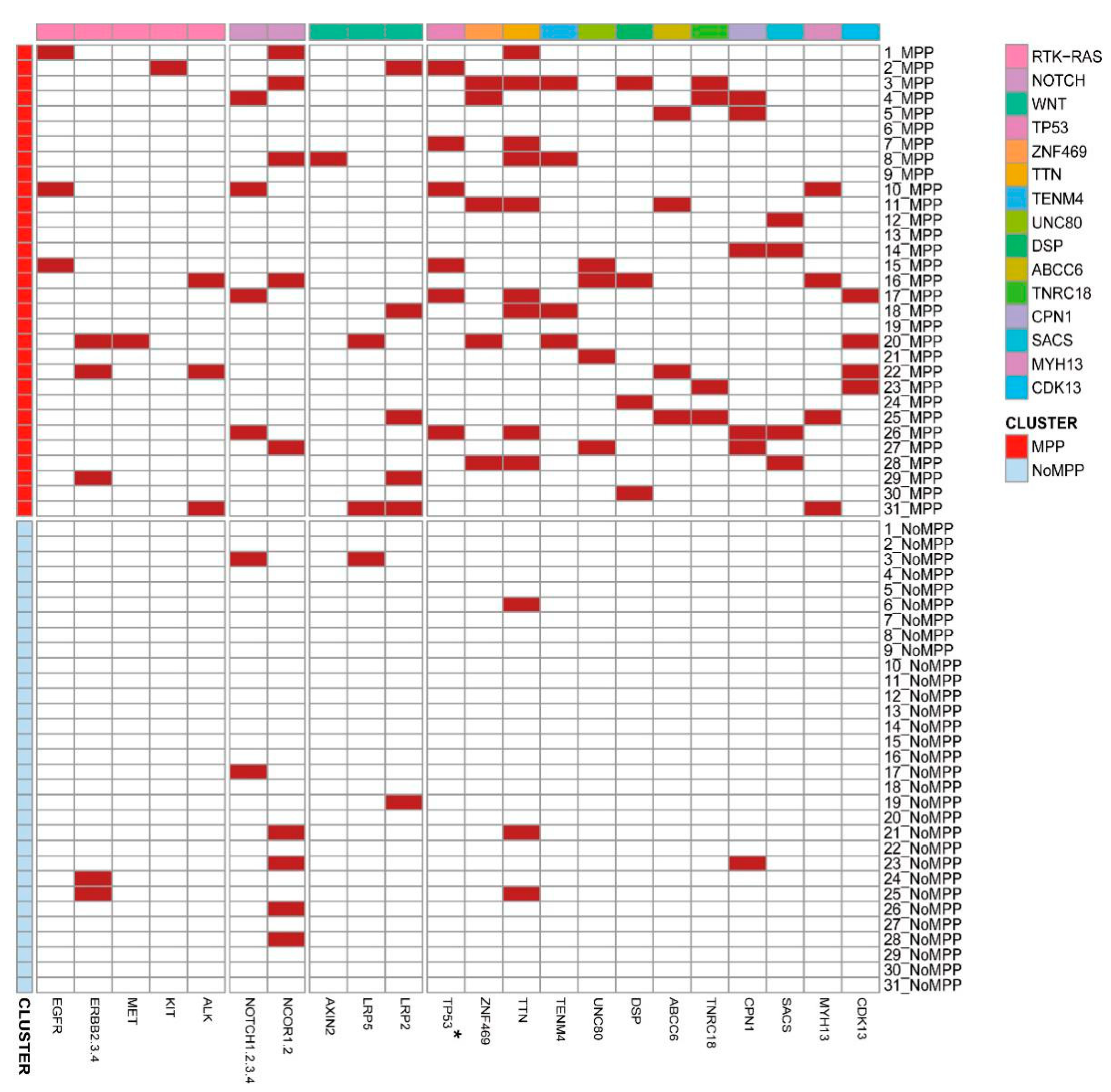 Cancers | Free Full-Text | Whole-Exome Sequencing Reveals the 