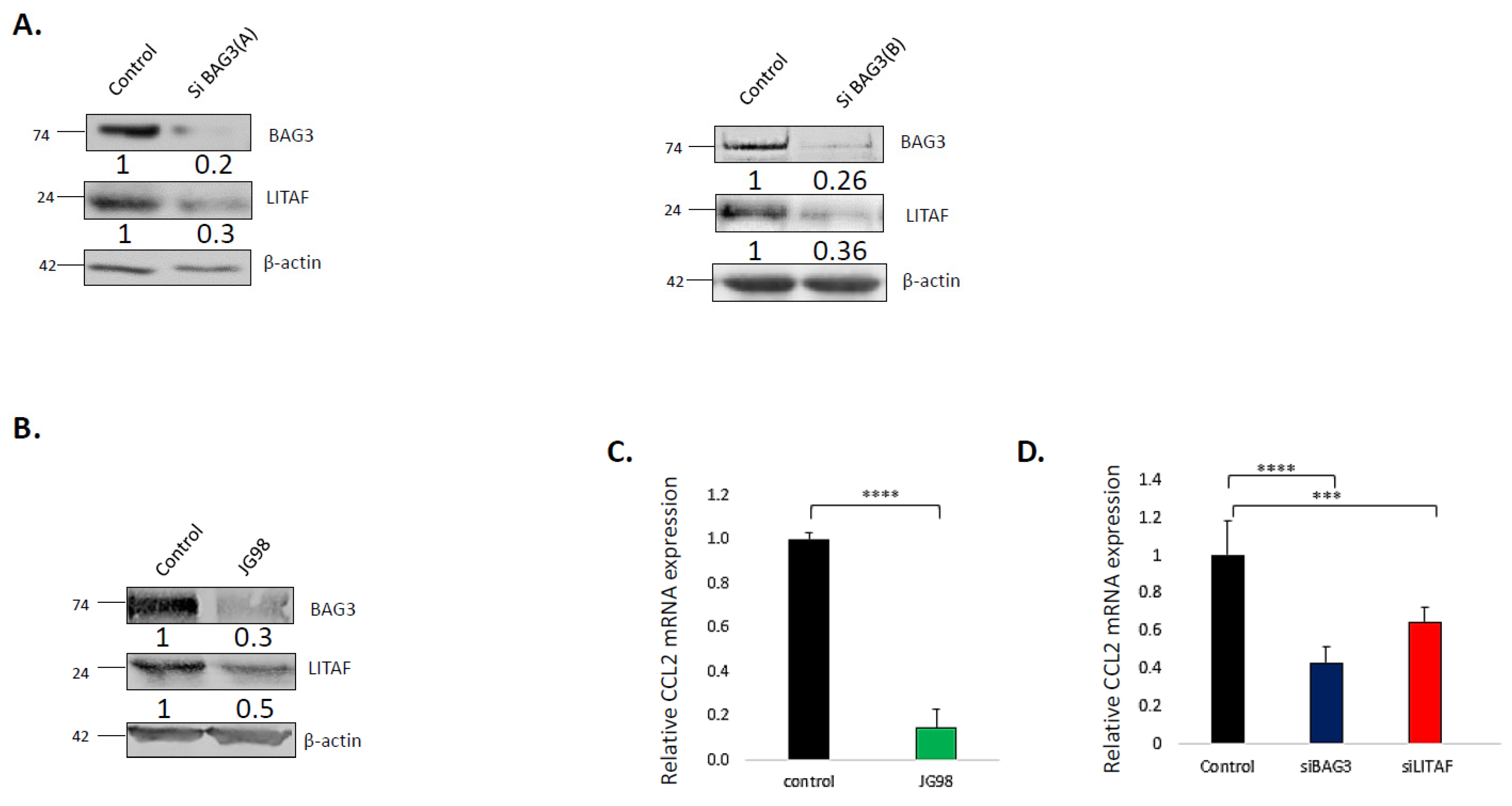 Cancers 14 04168 g001 Cancers 14 04168 g001