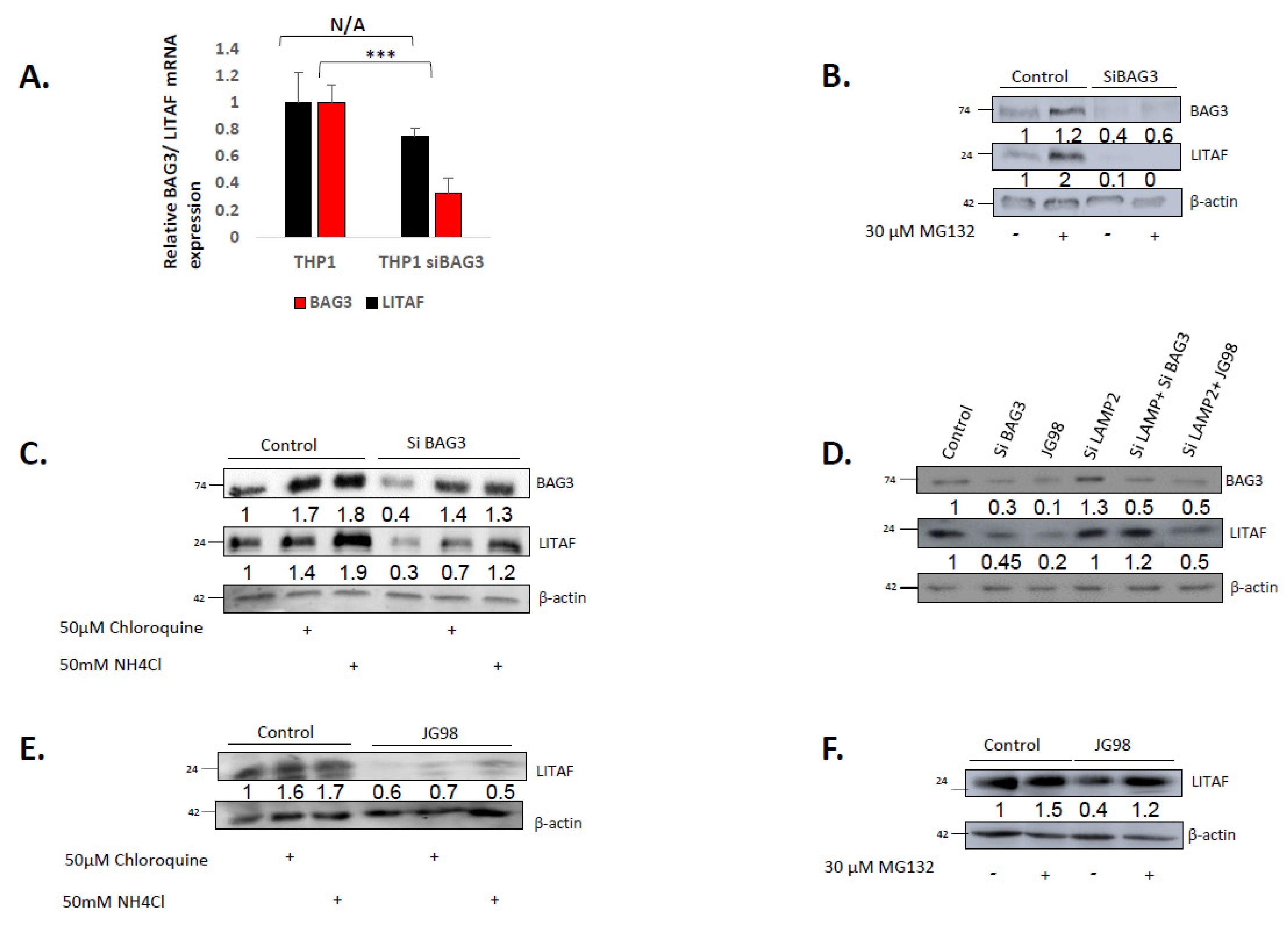 Cancers 14 04168 g003 Cancers 14 04168 g003