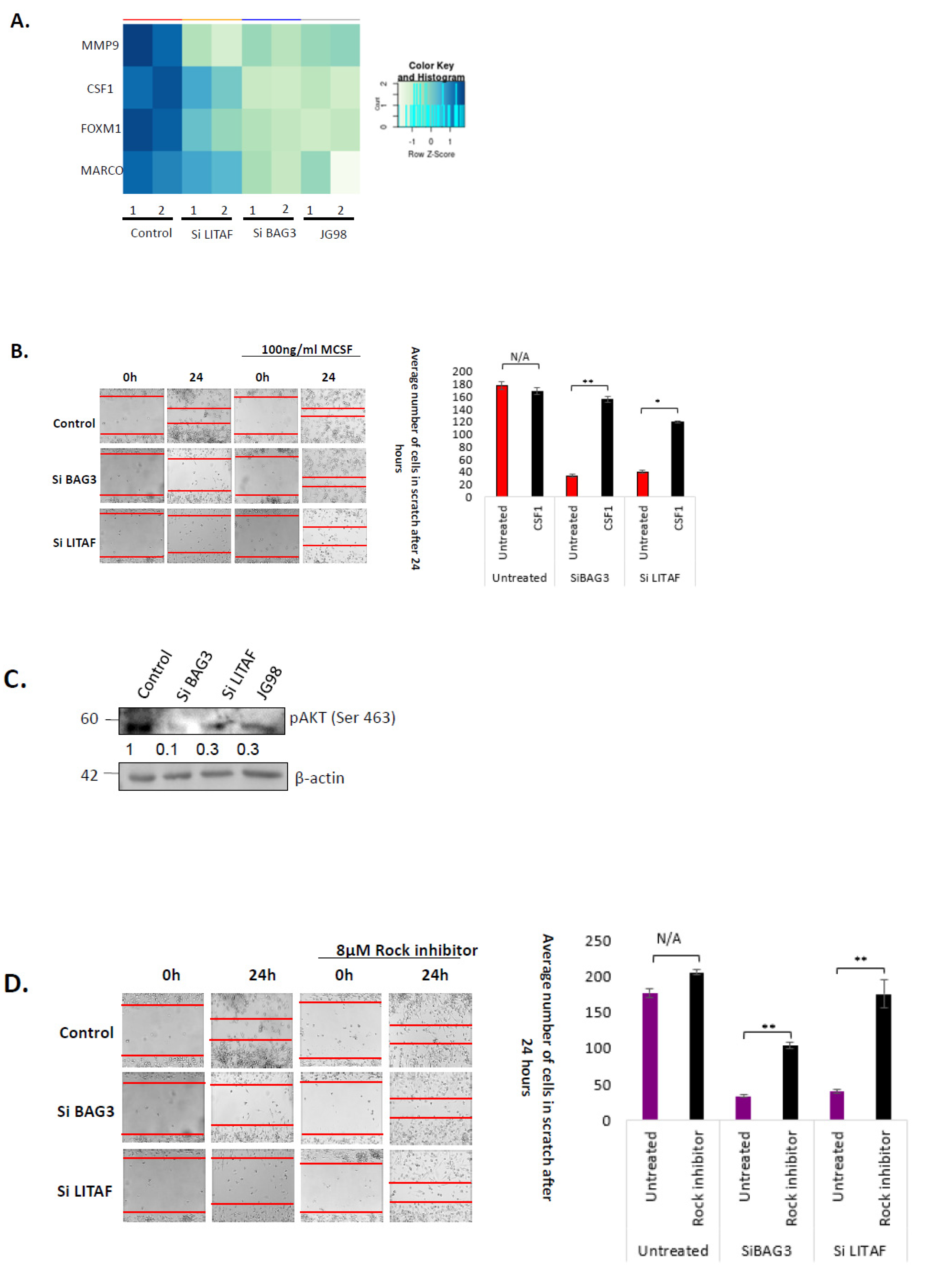Cancers 14 04168 g005 Cancers 14 04168 g005