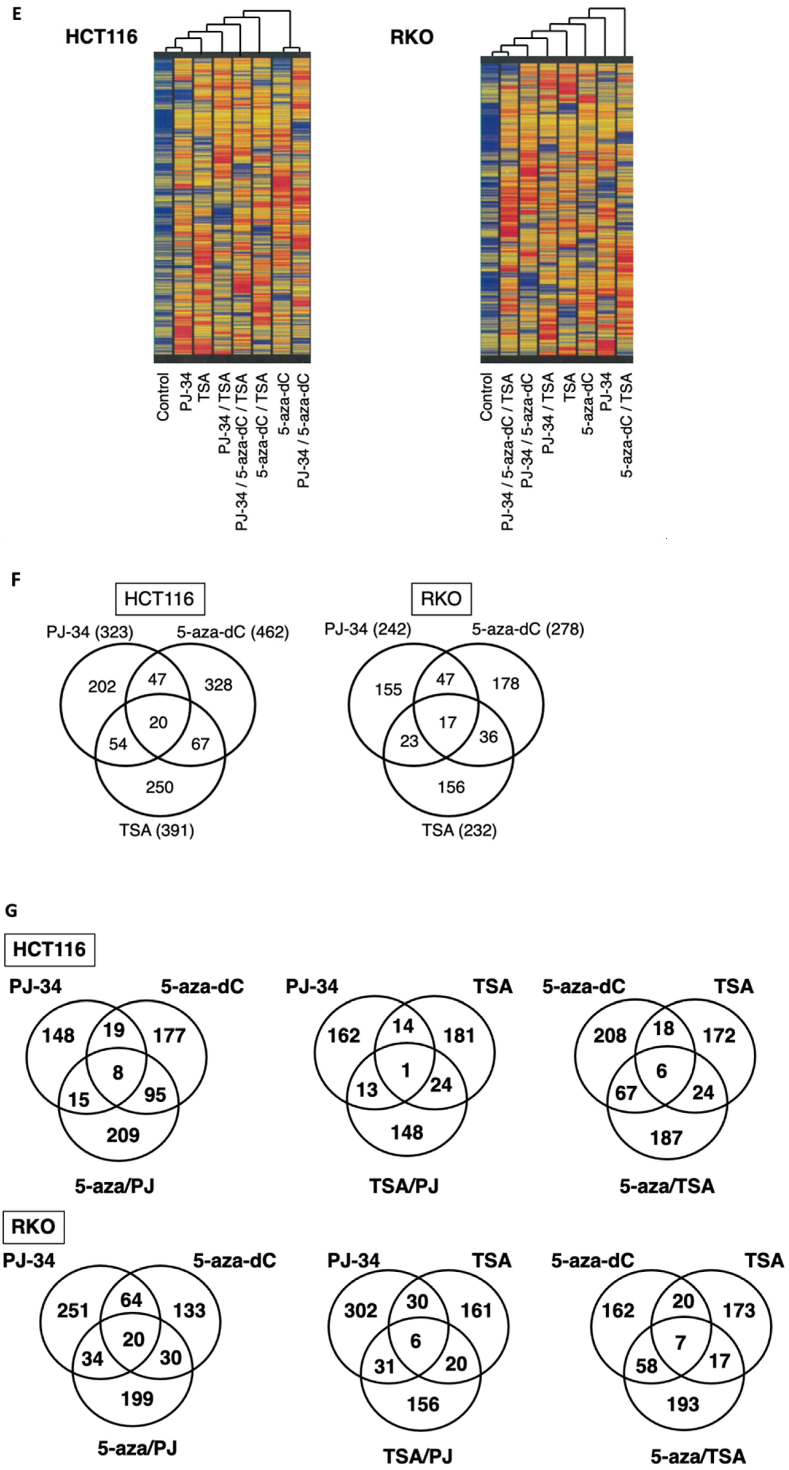 Cancers 14 04171 g004b