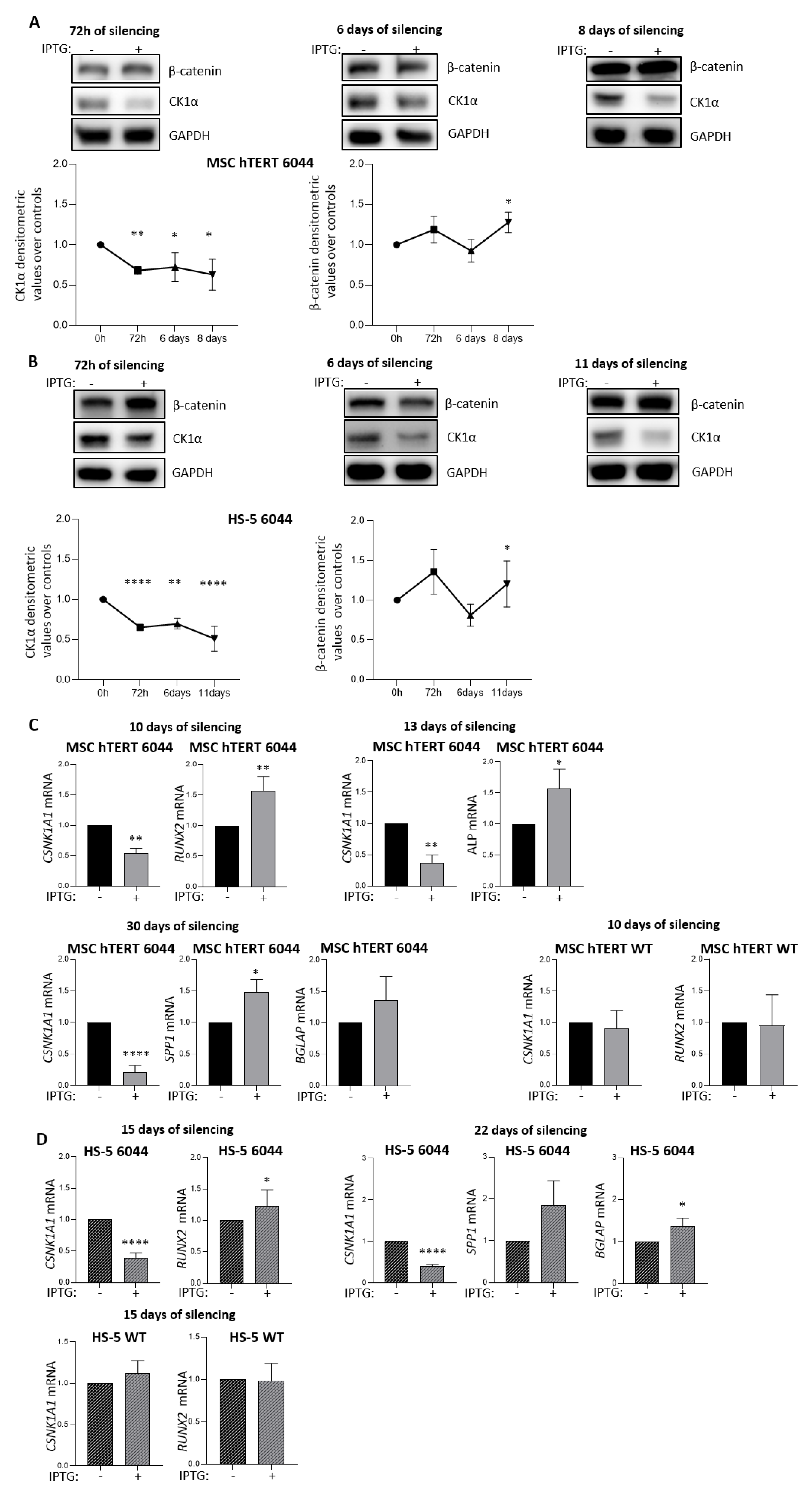 Cancers 14 04173 g001