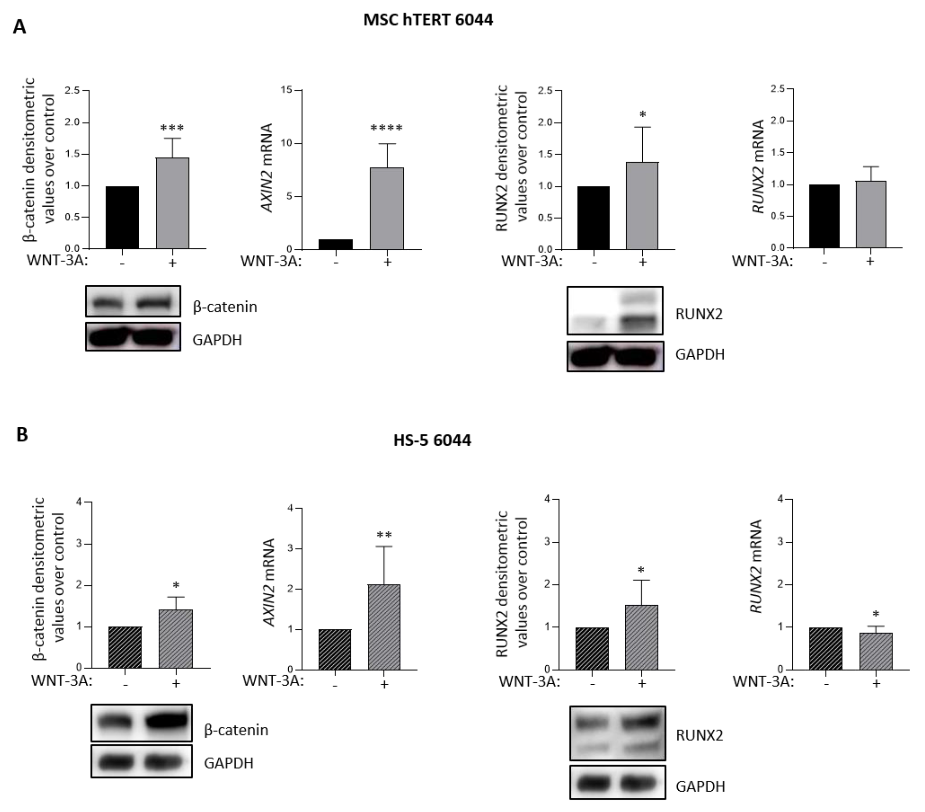 Cancers 14 04173 g002