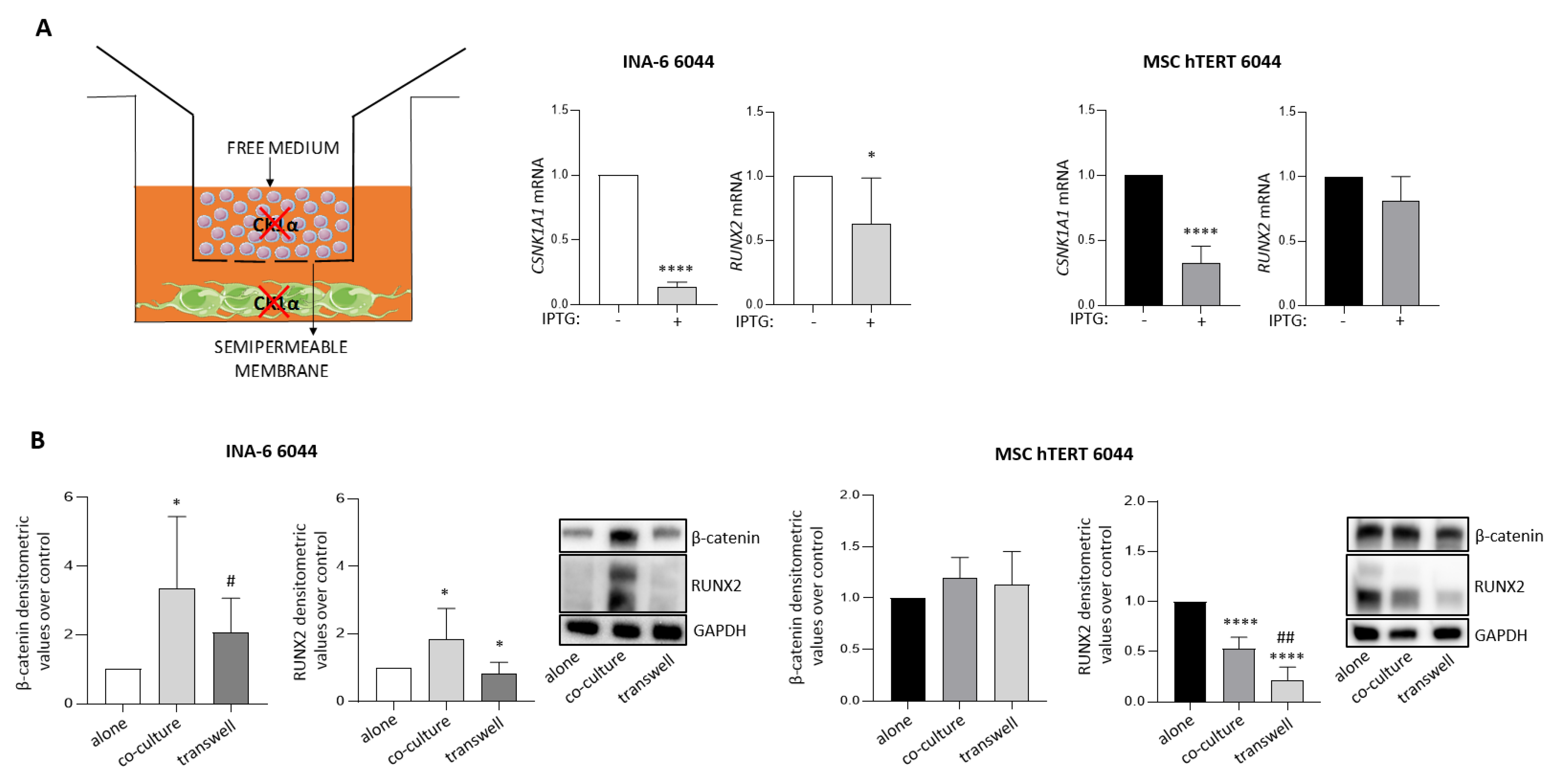 Cancers 14 04173 g004
