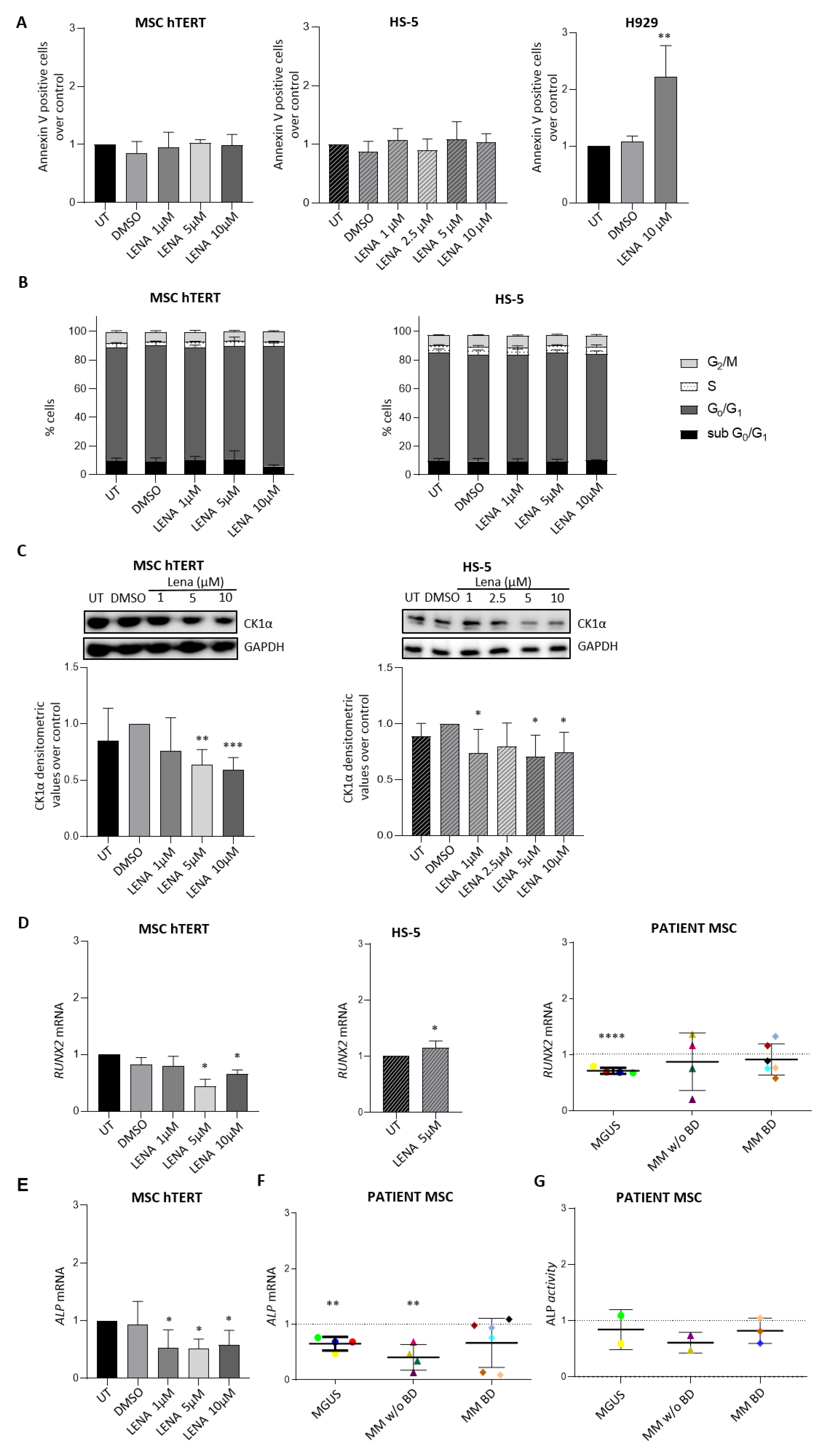 Cancers 14 04173 g005