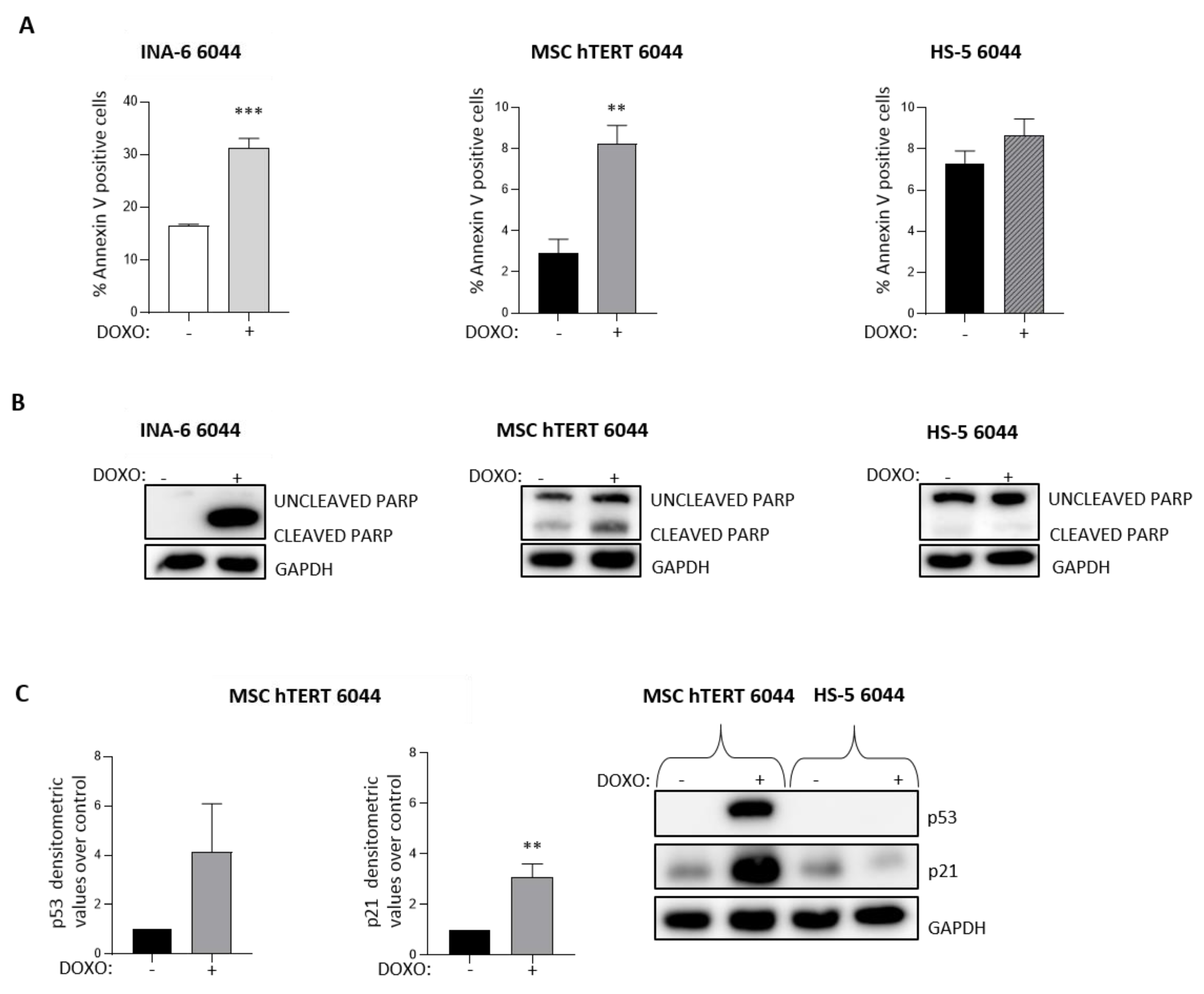 Cancers 14 04173 g006