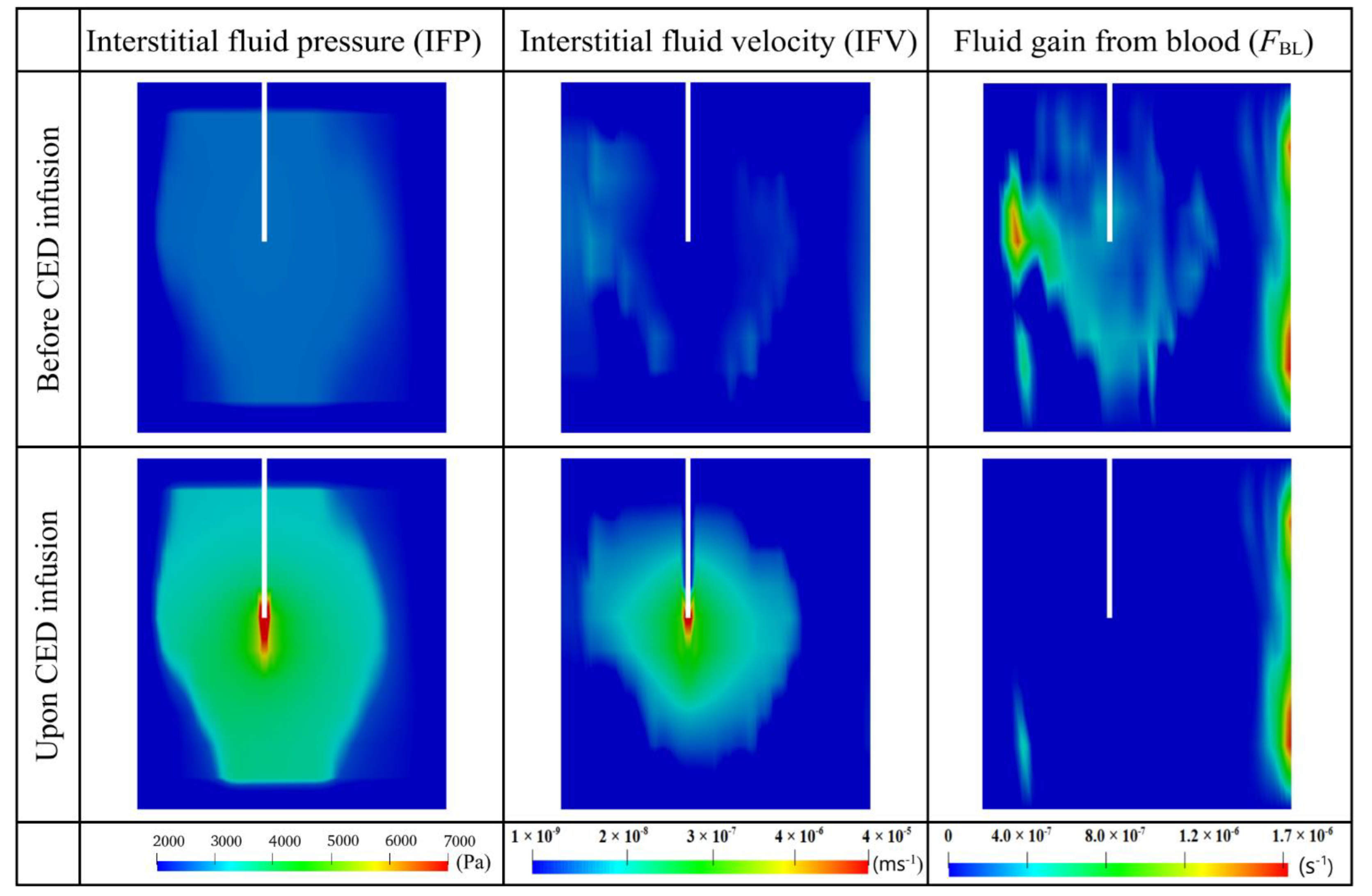 Cancers 14 04177 g009