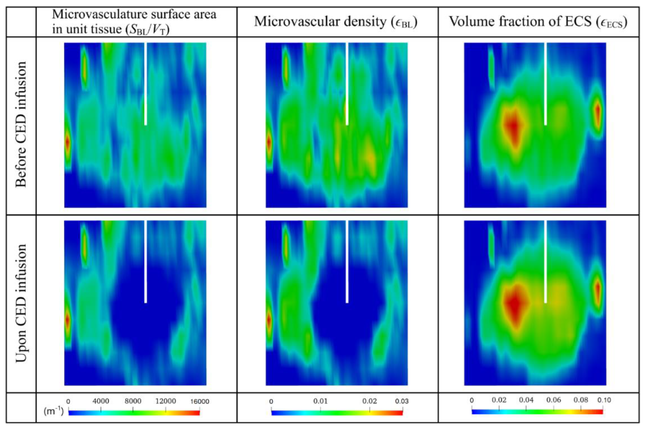 Cancers 14 04177 g0a2