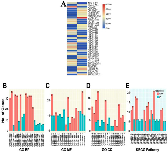Comprehensive Analysis of Serum Small Extracellular Vesicles-Derived ...