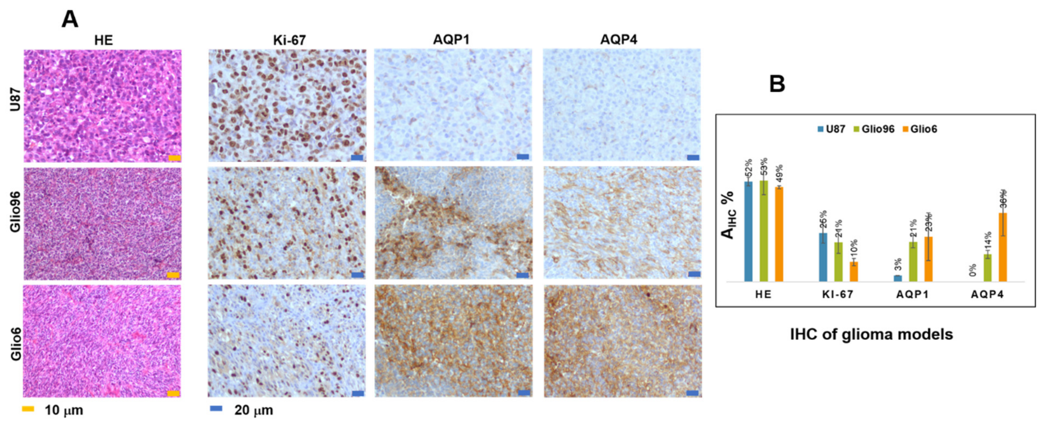 Cancers 14 04180 g003 550