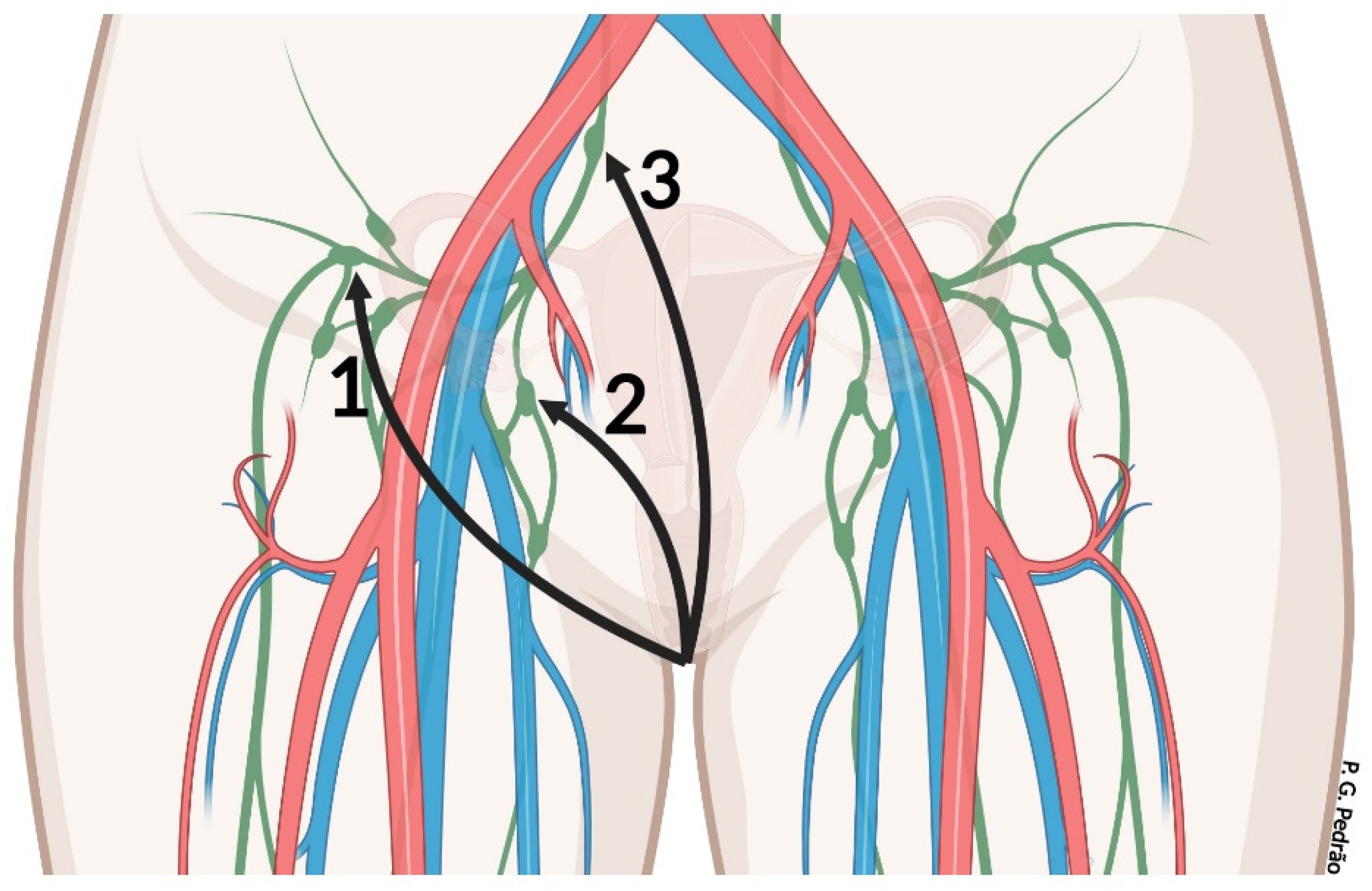 Cancers 14 04184 g002 550