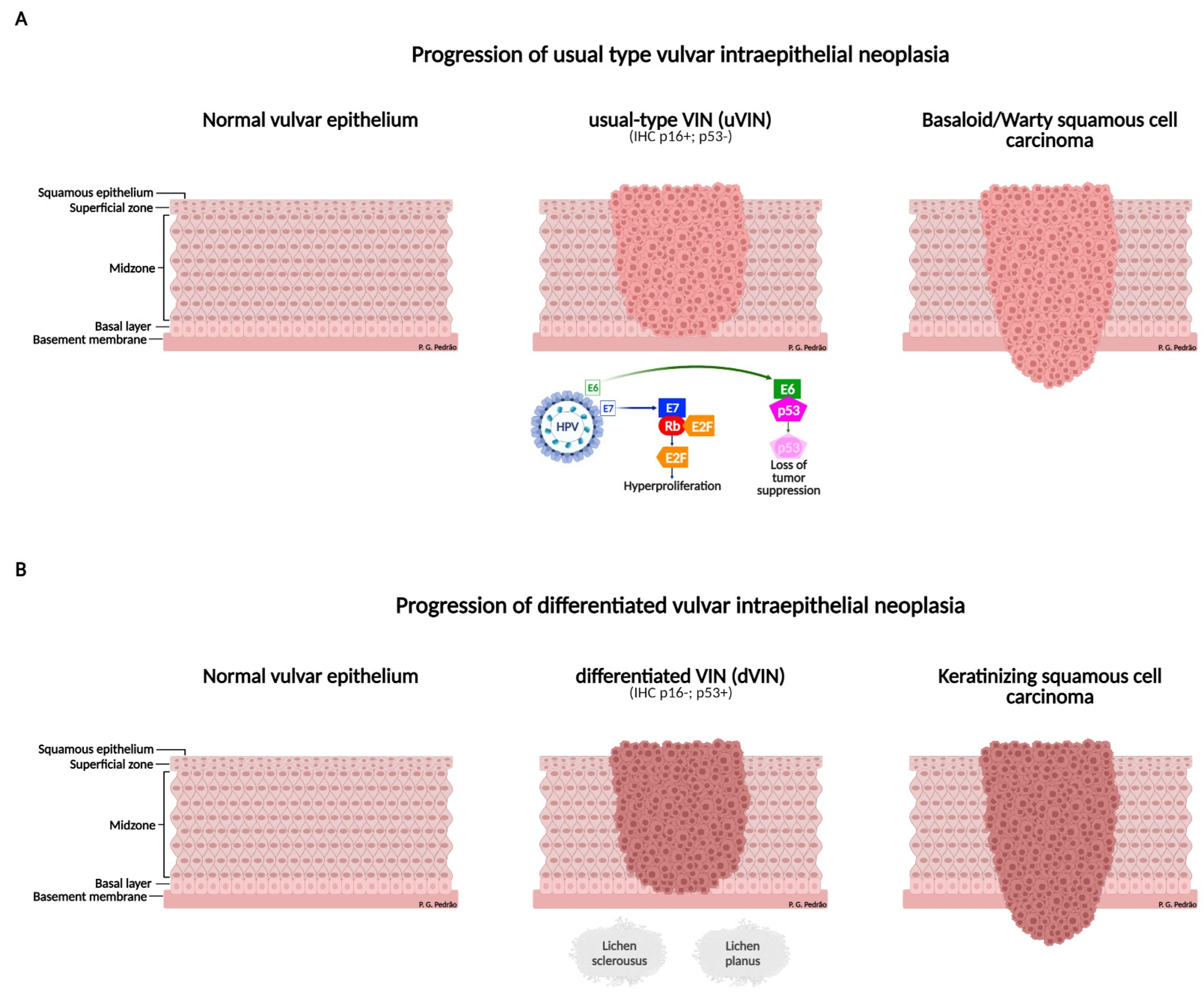 Cancers 14 04184 g003 550