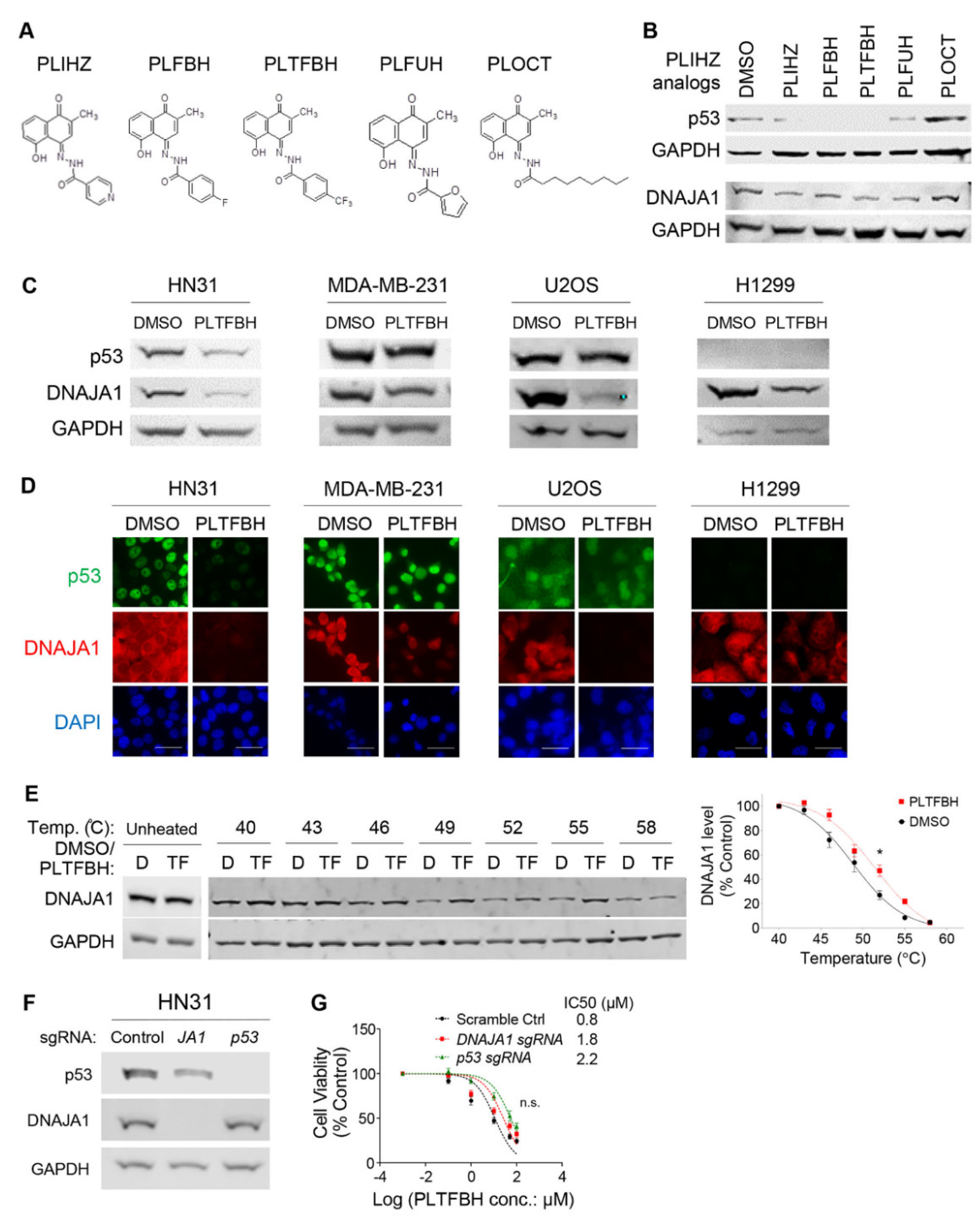 Cancers 14 04187 g003