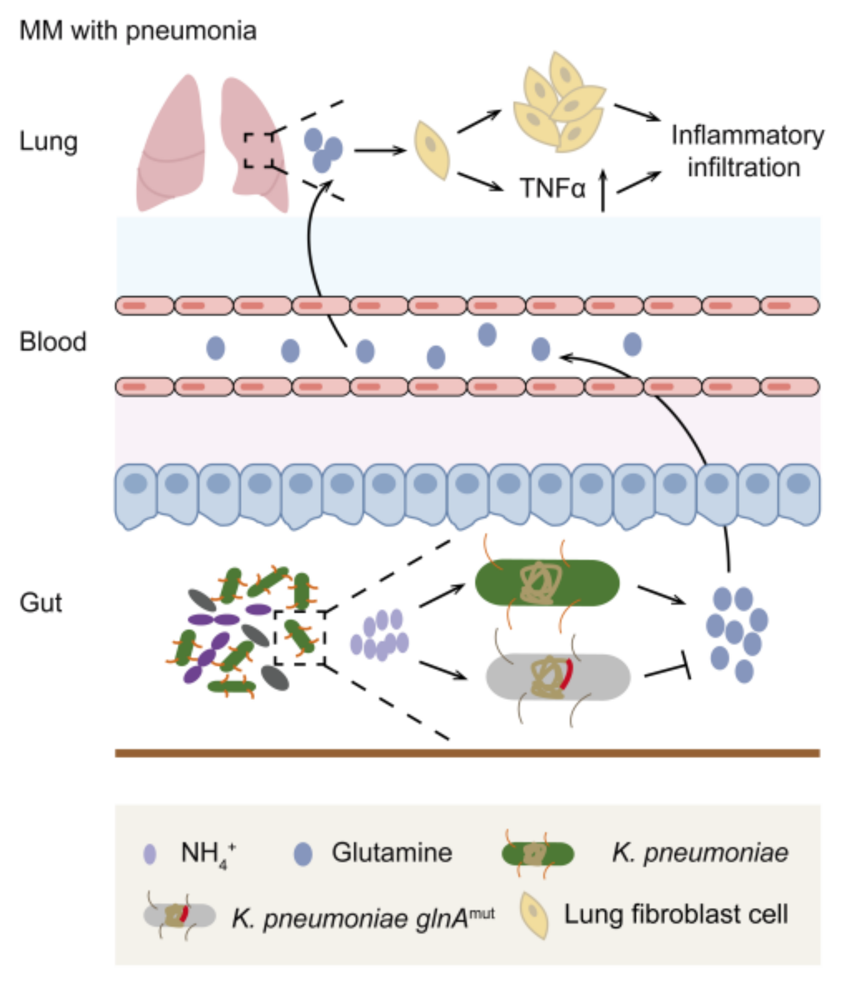Cancers 14 04188 g006