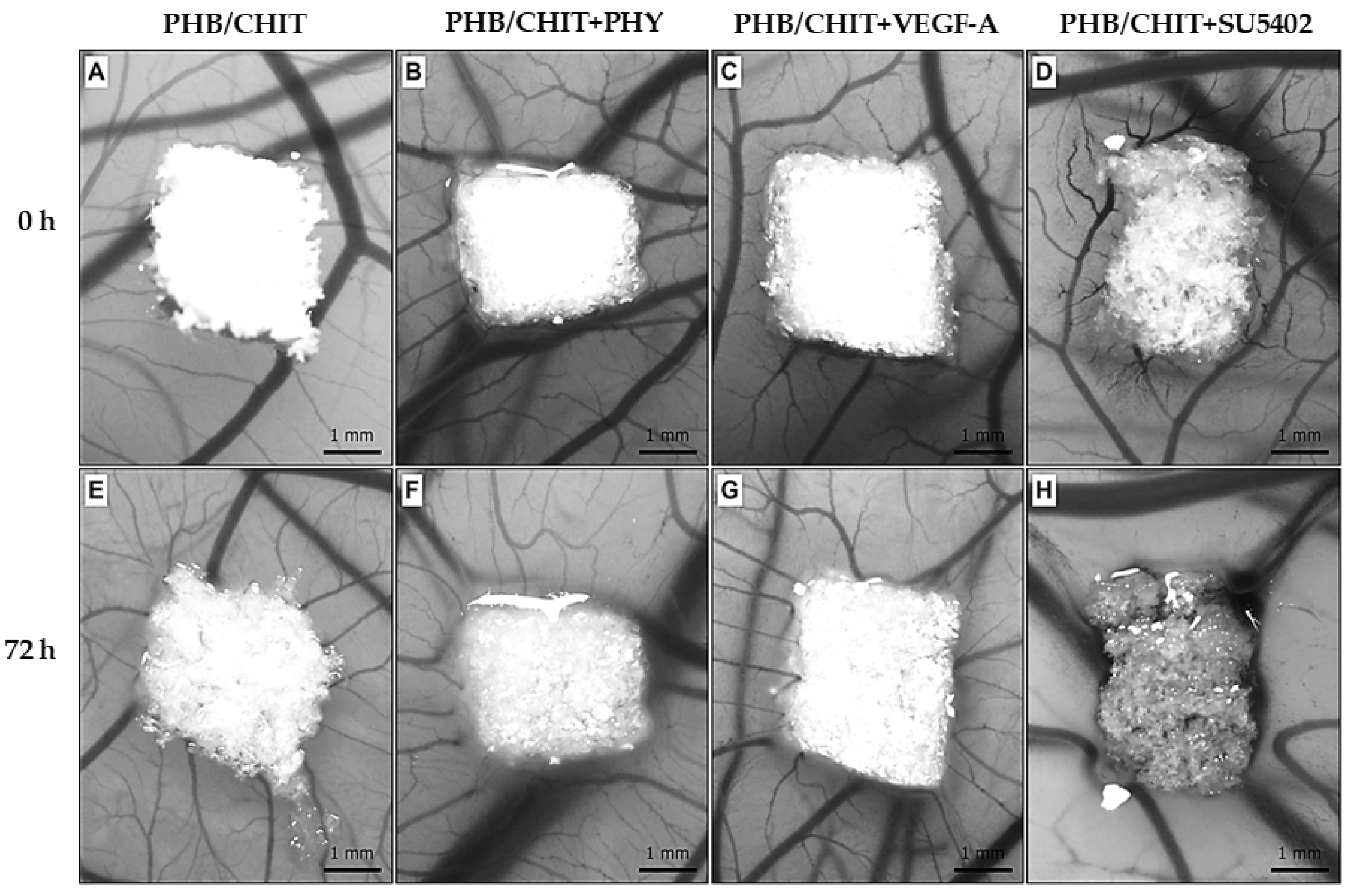 Cancers 14 04194 g002 Cancers 14 04194 g002