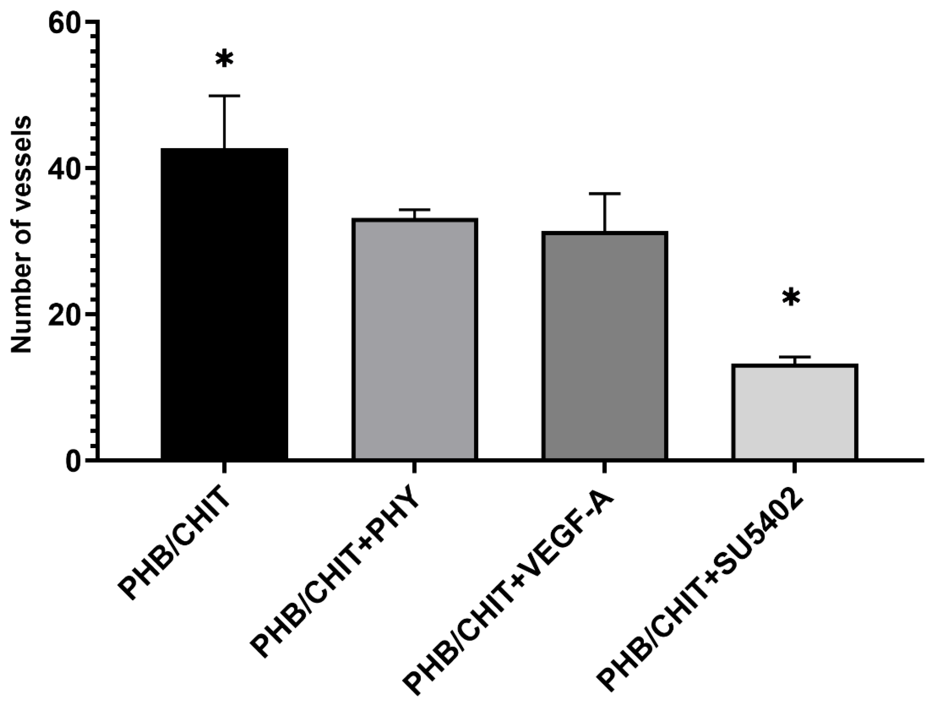 Cancers 14 04194 g004 Cancers 14 04194 g004