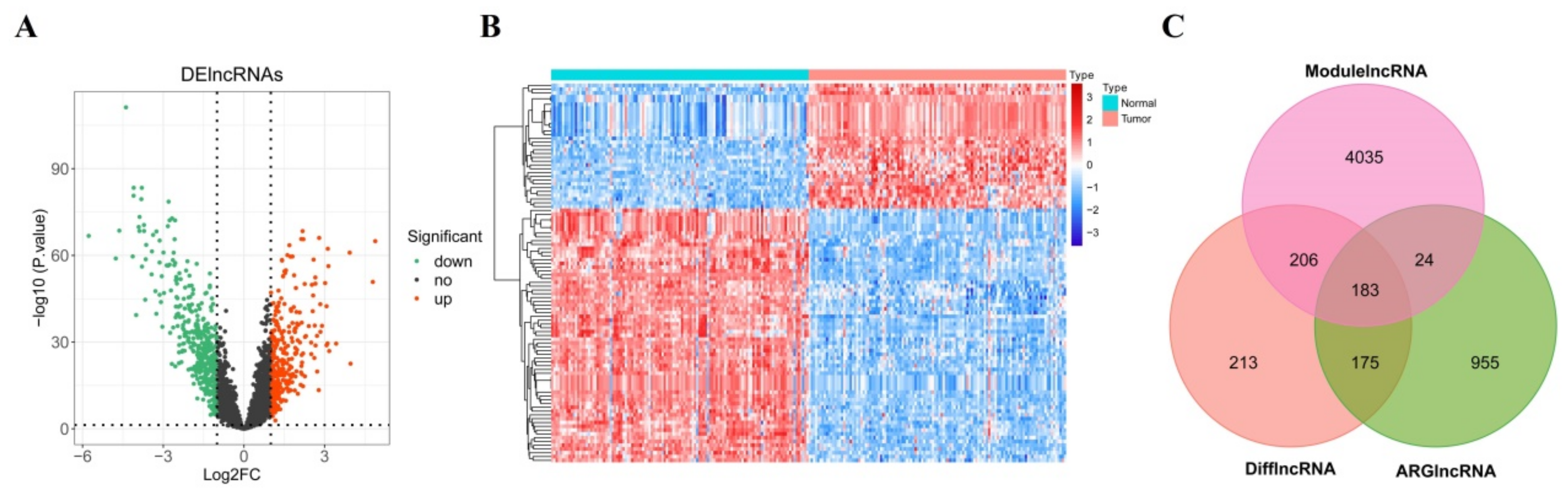 Cancers 14 04195 g002 550