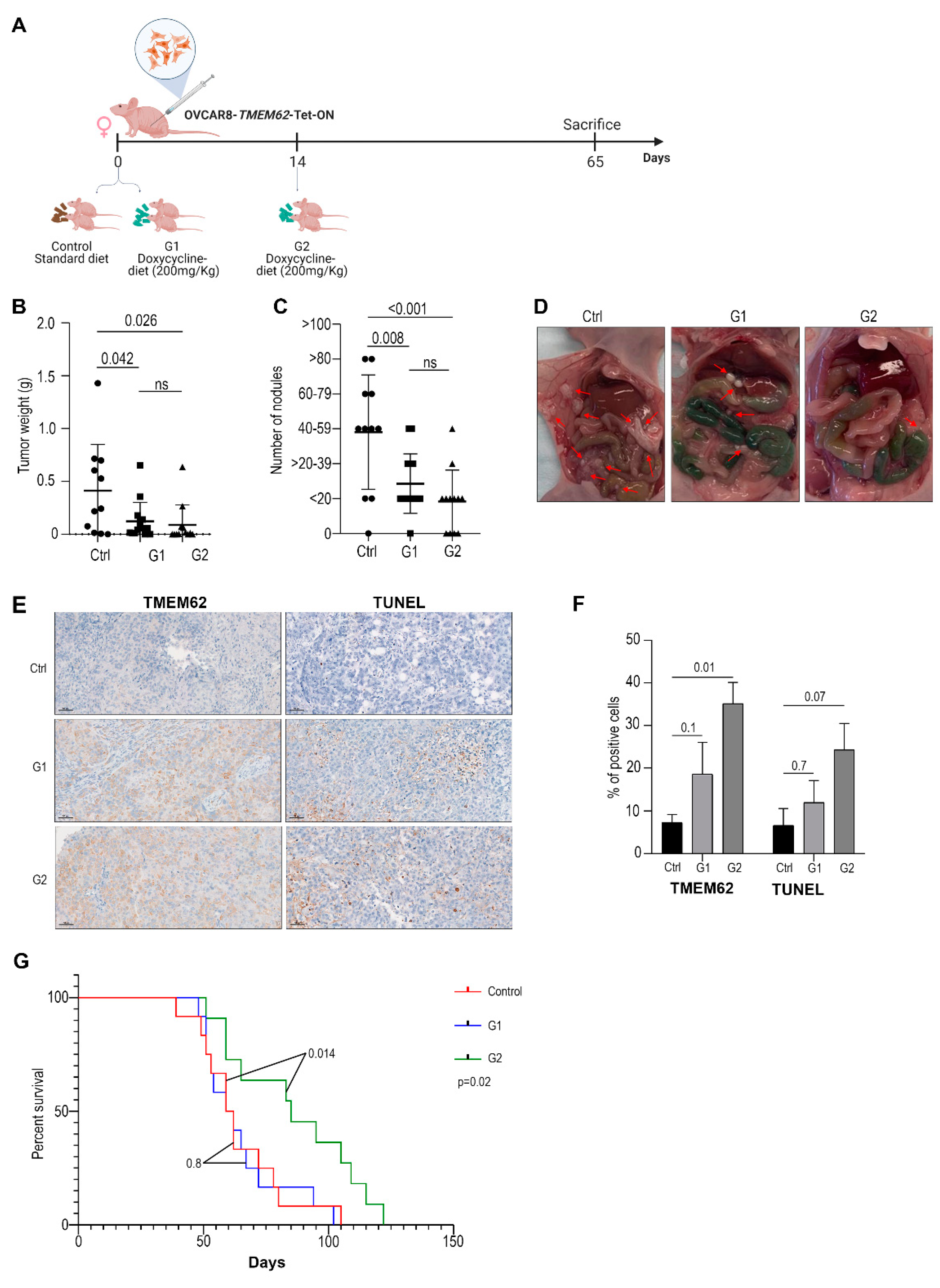 Cancers 14 04198 g003 550