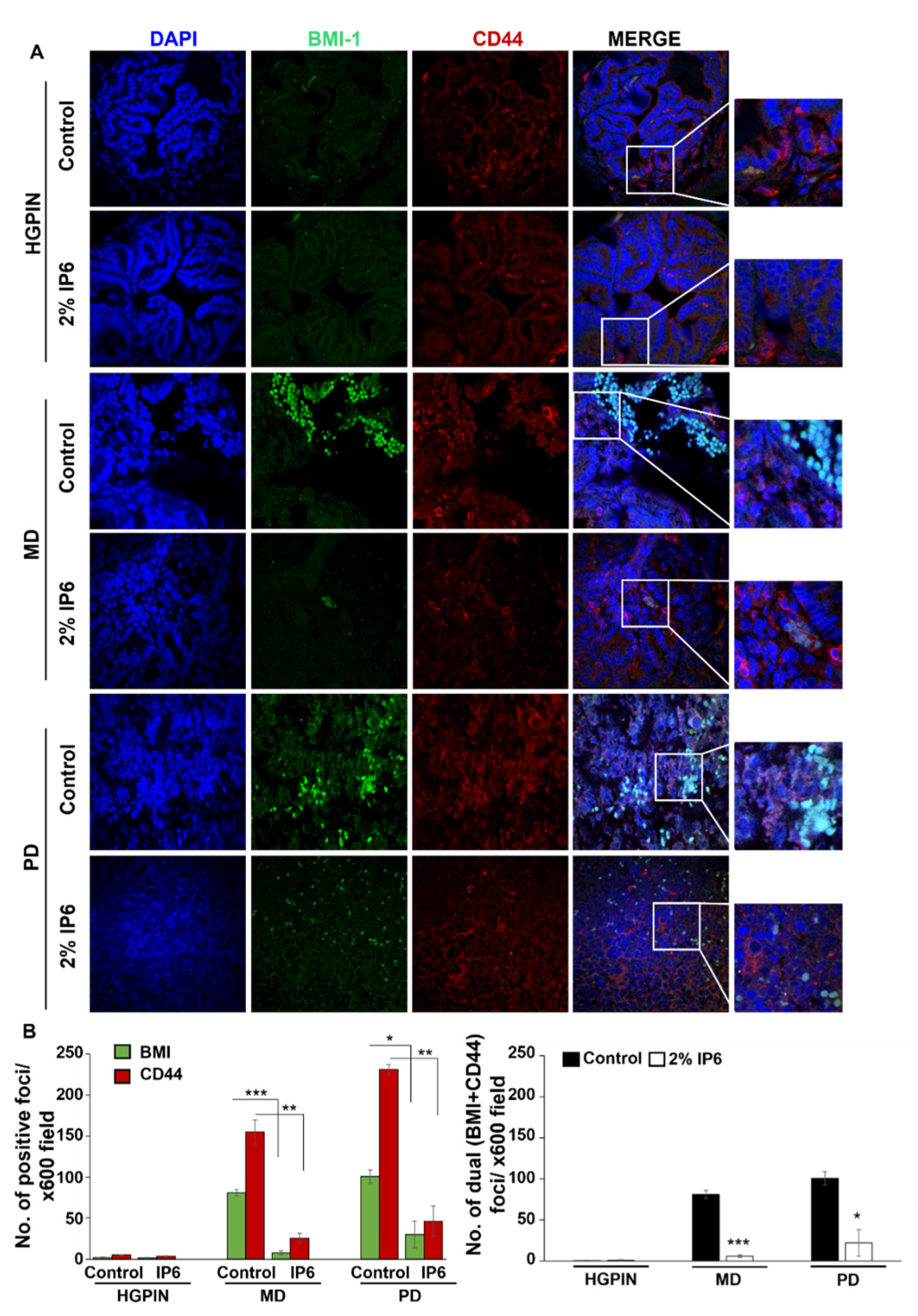 Cancers 14 04204 g005 Cancers 14 04204 g005