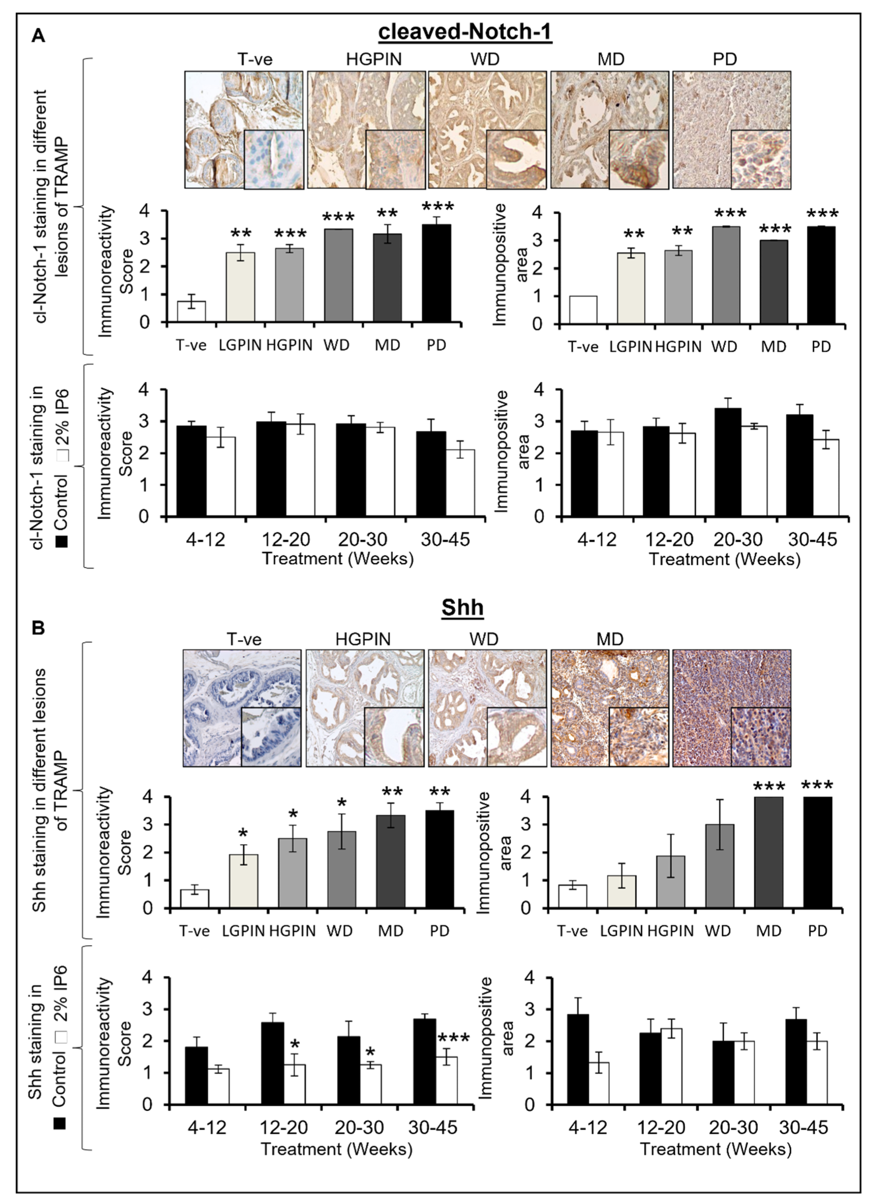 Cancers 14 04204 g007 Cancers 14 04204 g007