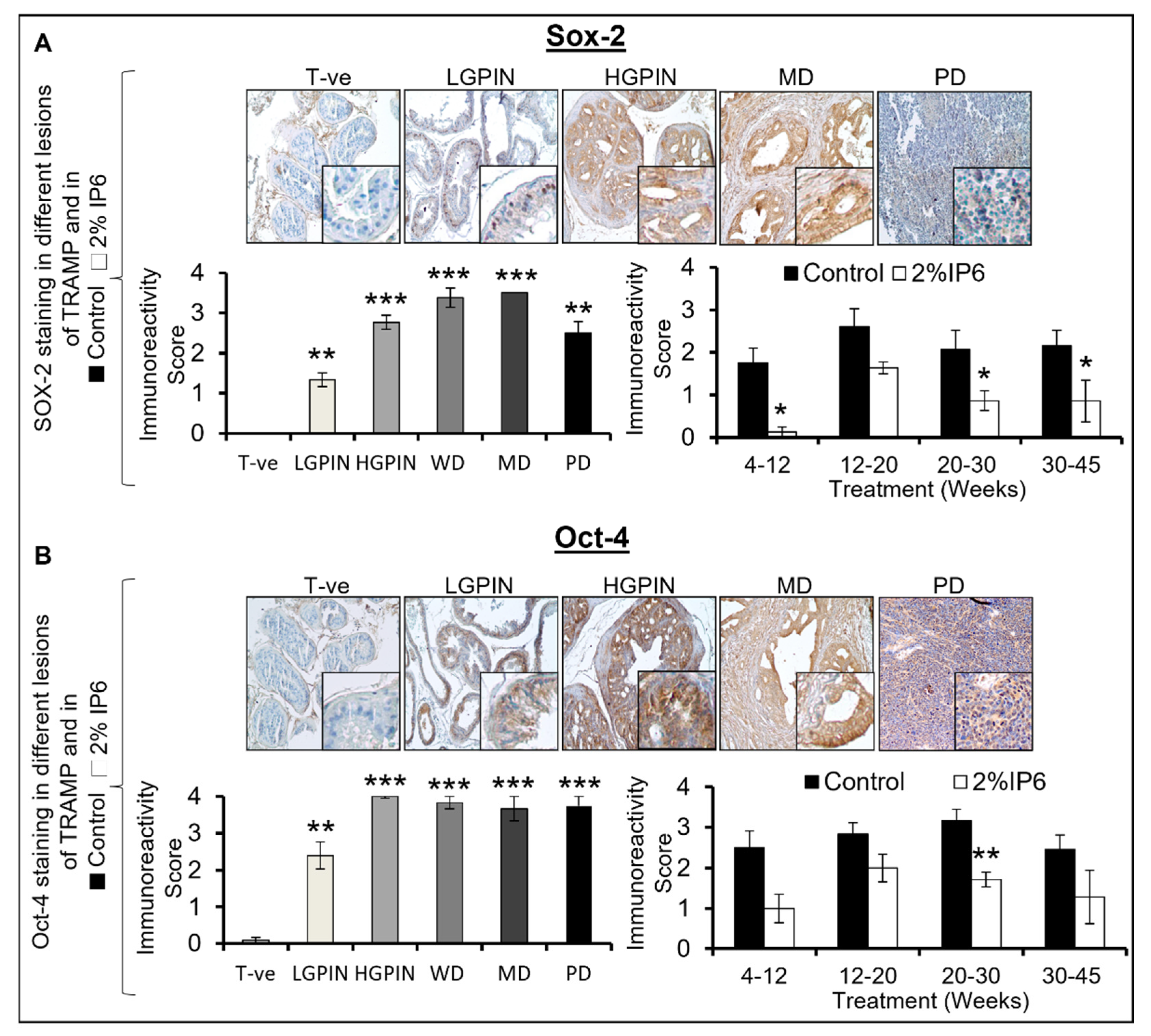 Cancers 14 04204 g008 Cancers 14 04204 g008