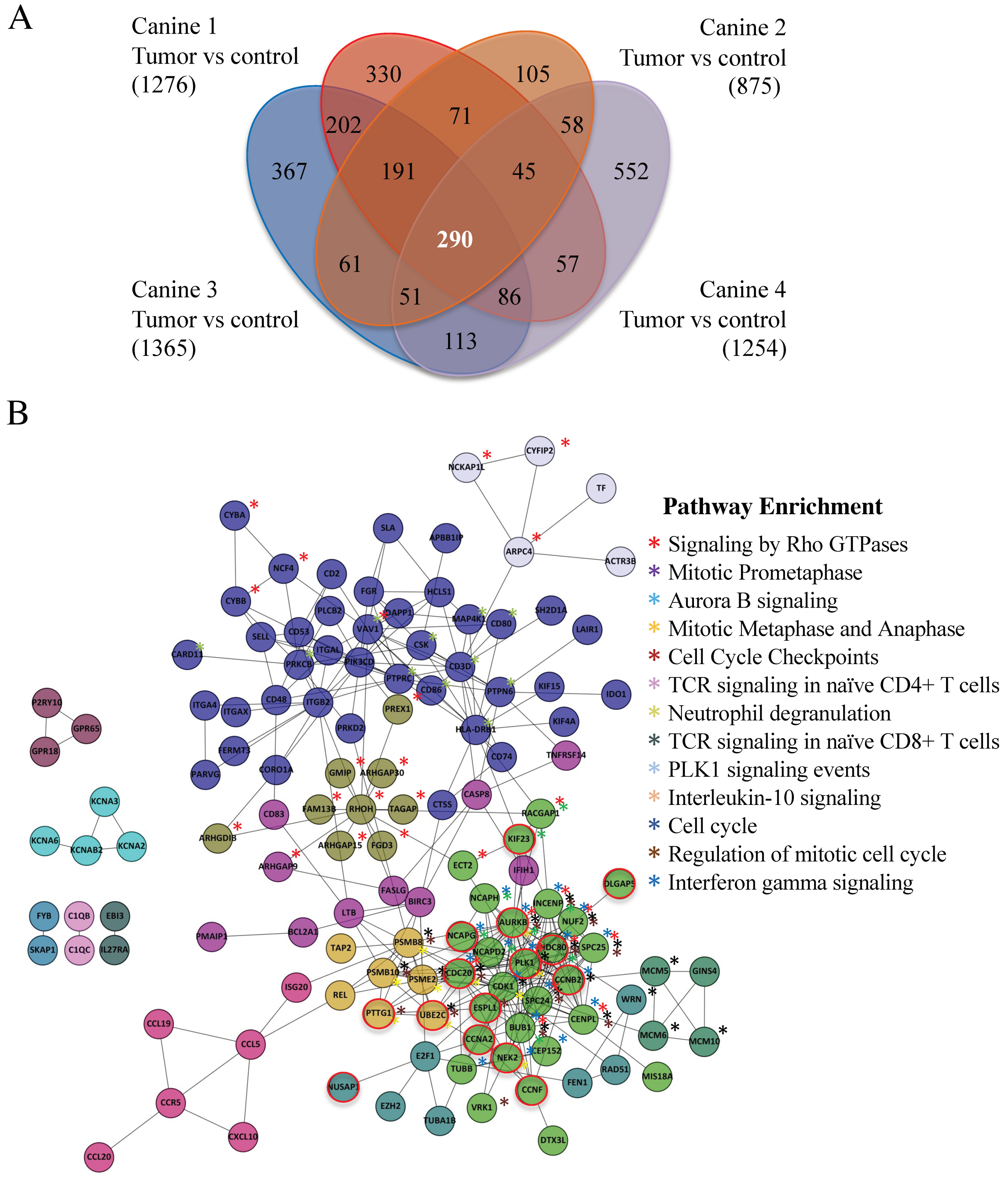 Cancers 14 04215 g002