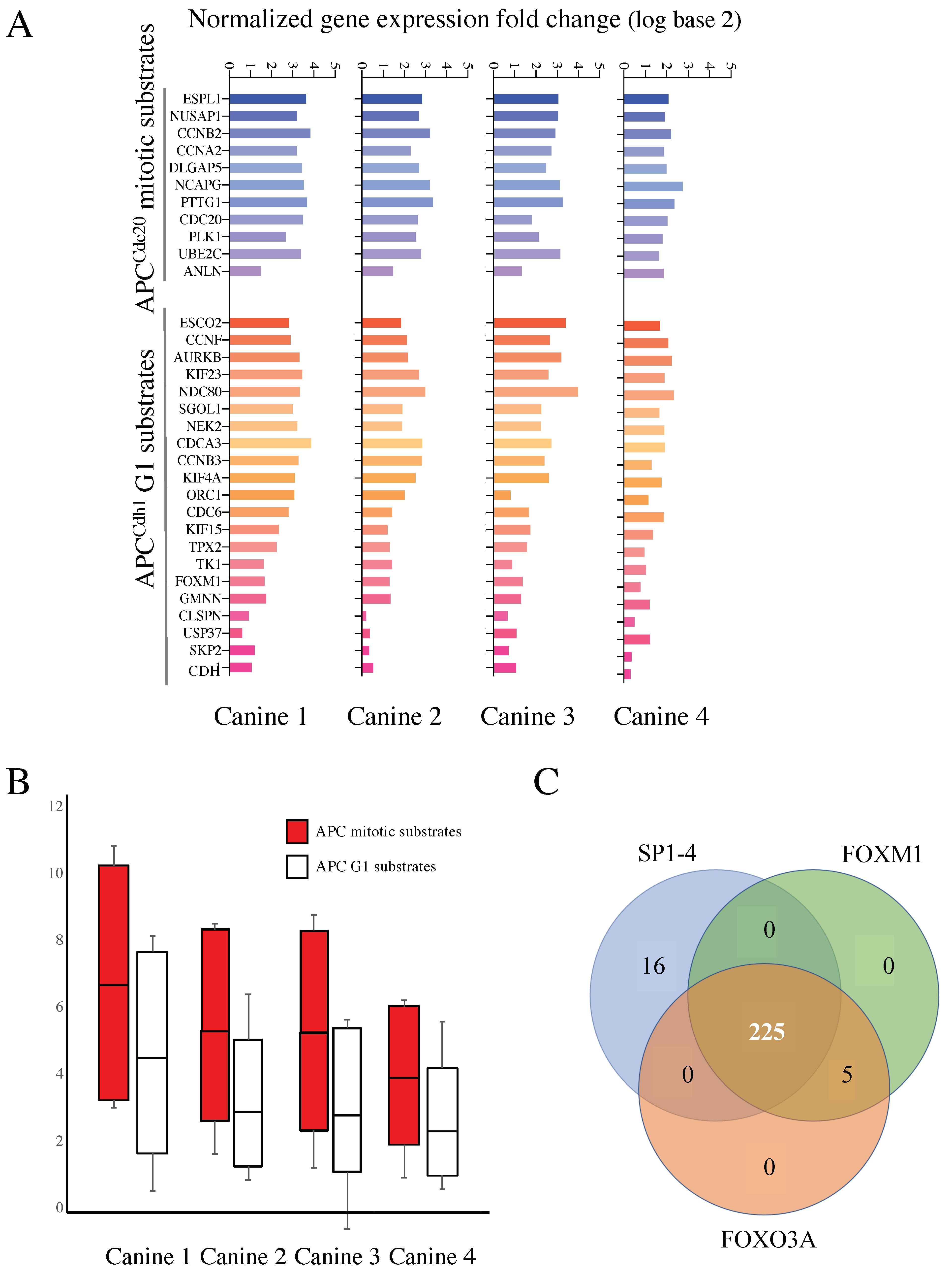 Cancers 14 04215 g003