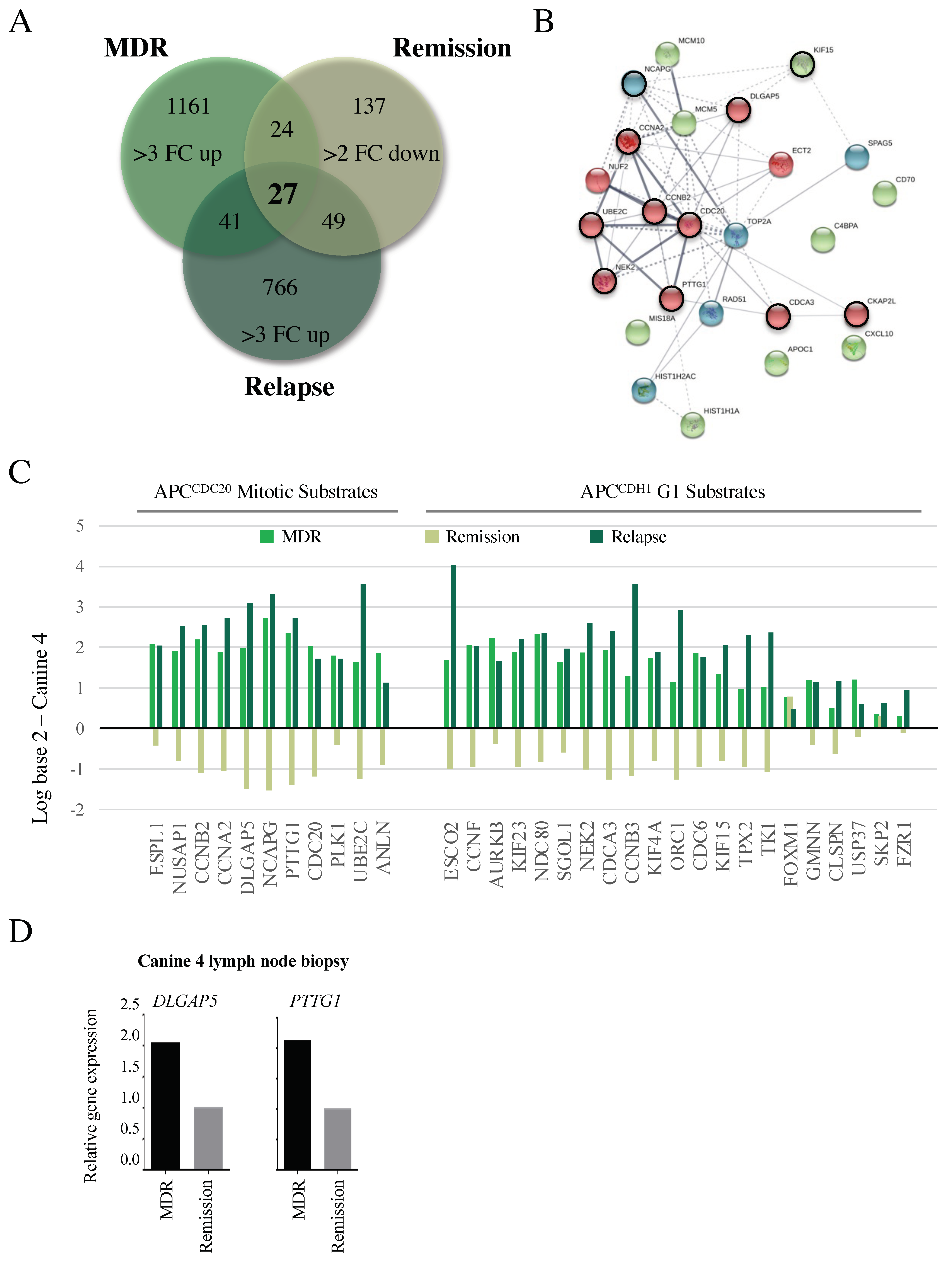 Cancers 14 04215 g004