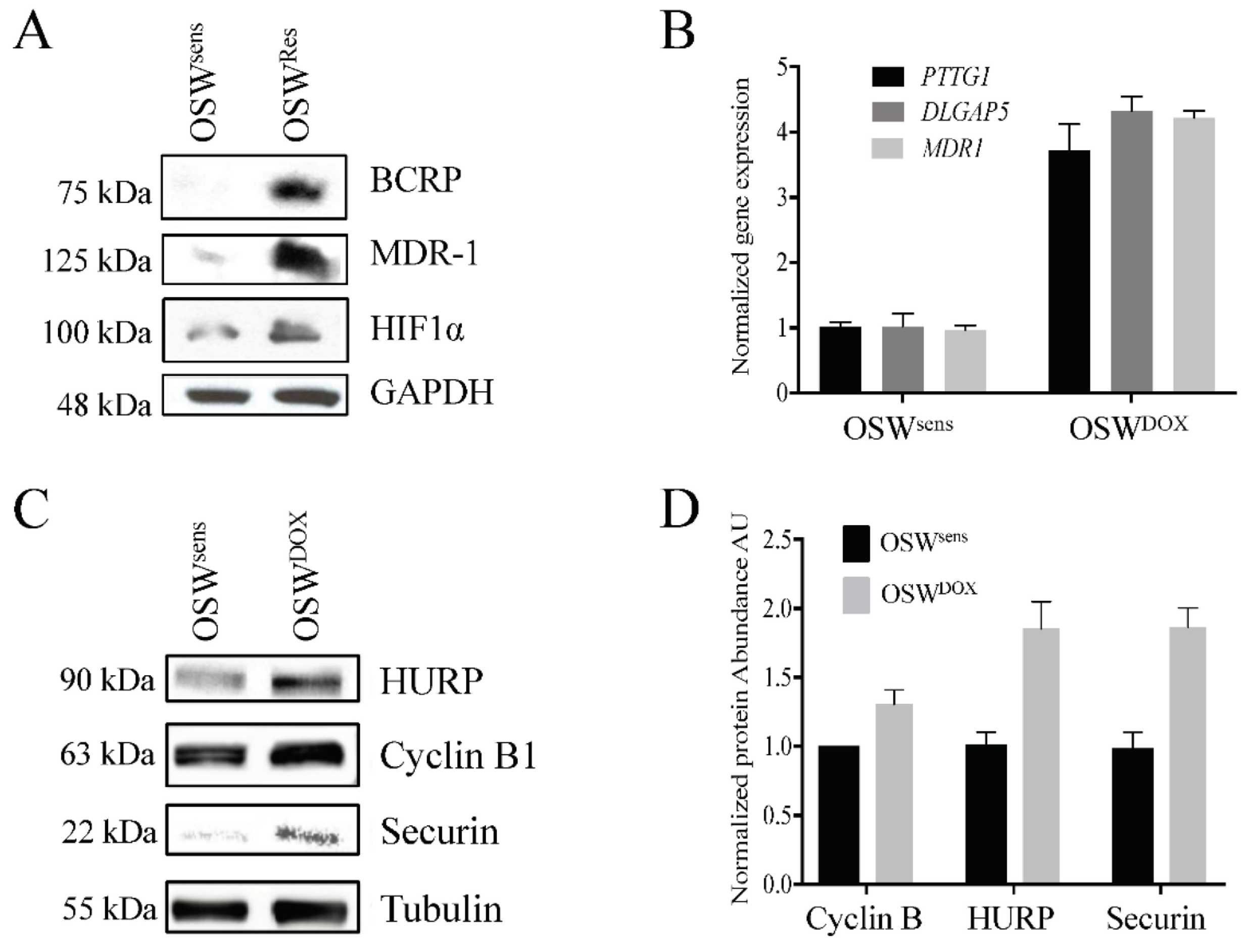 Cancers 14 04215 g005a