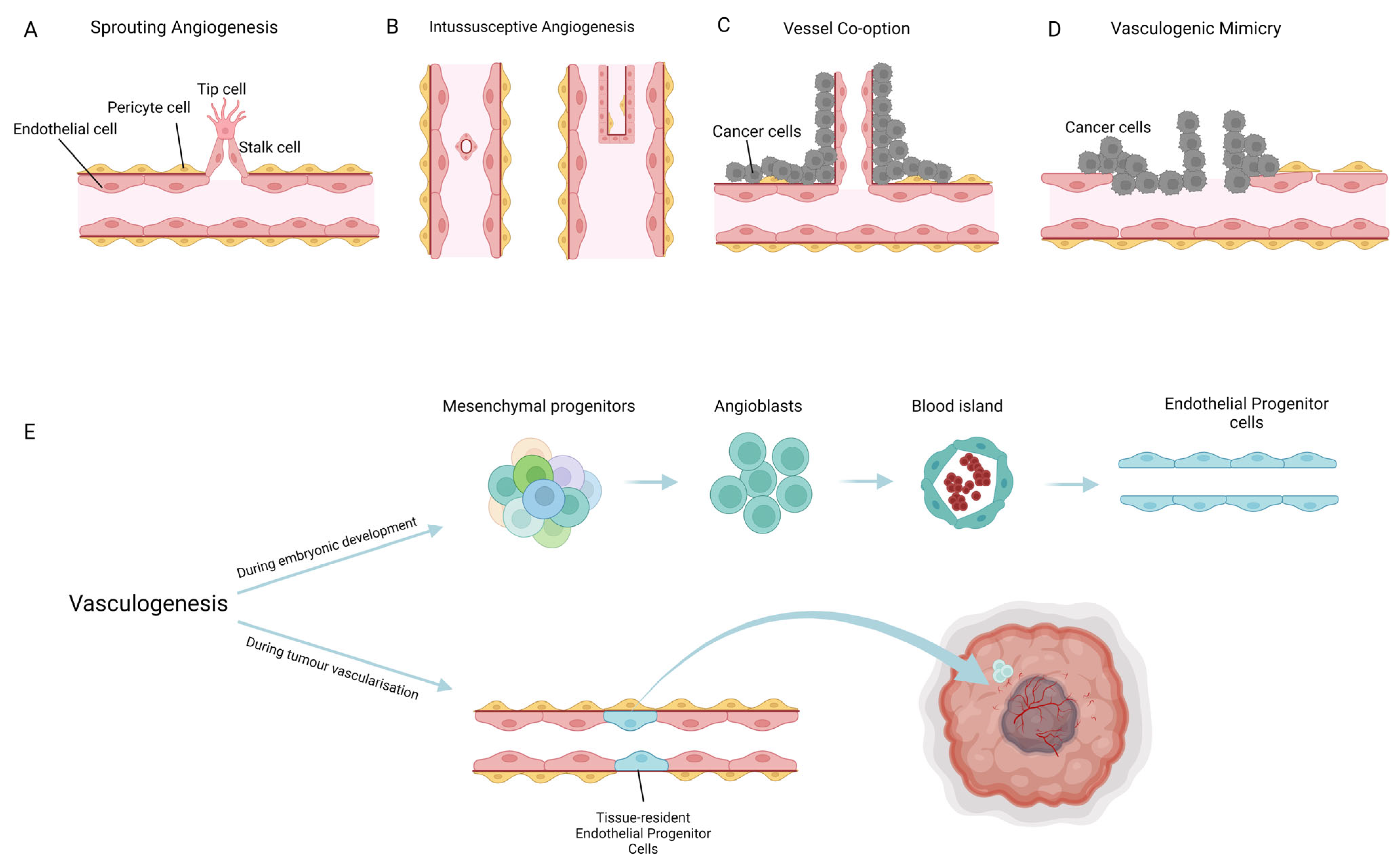 Cancers 14 04216 g001 Cancers 14 04216 g001