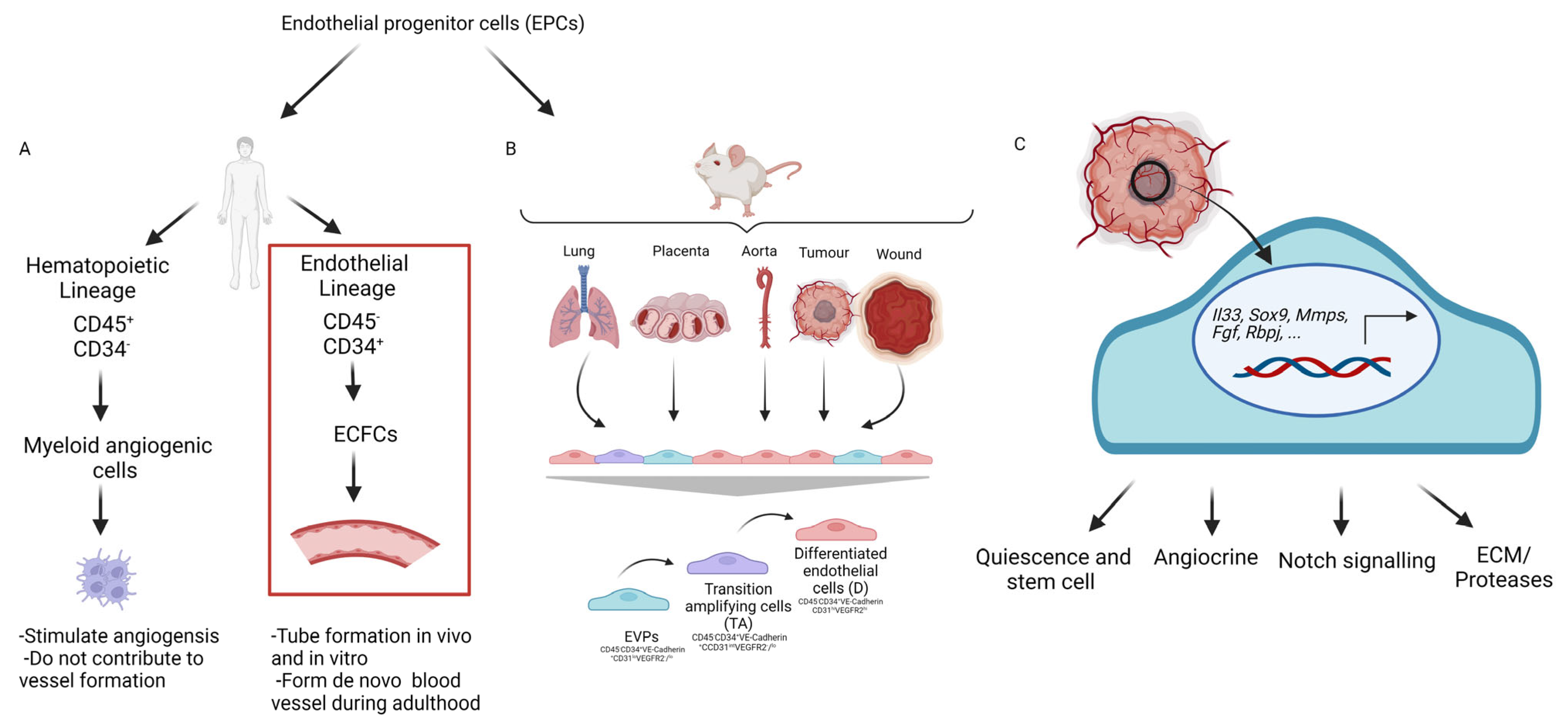Cancers 14 04216 g002 Cancers 14 04216 g002
