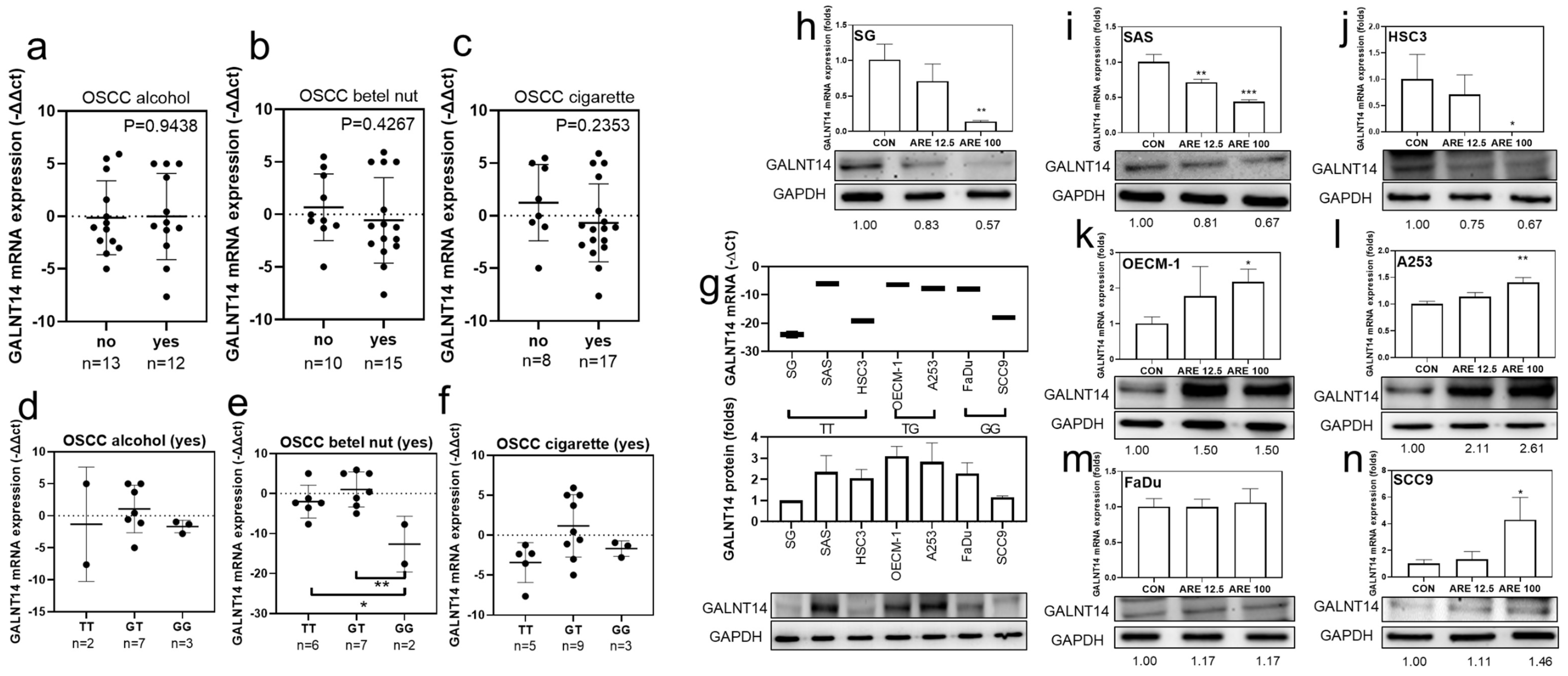 Cancers 14 04217 g004 550