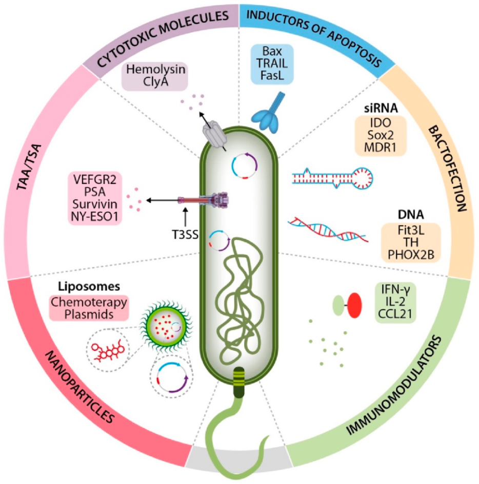 Cancers 14 04224 g002