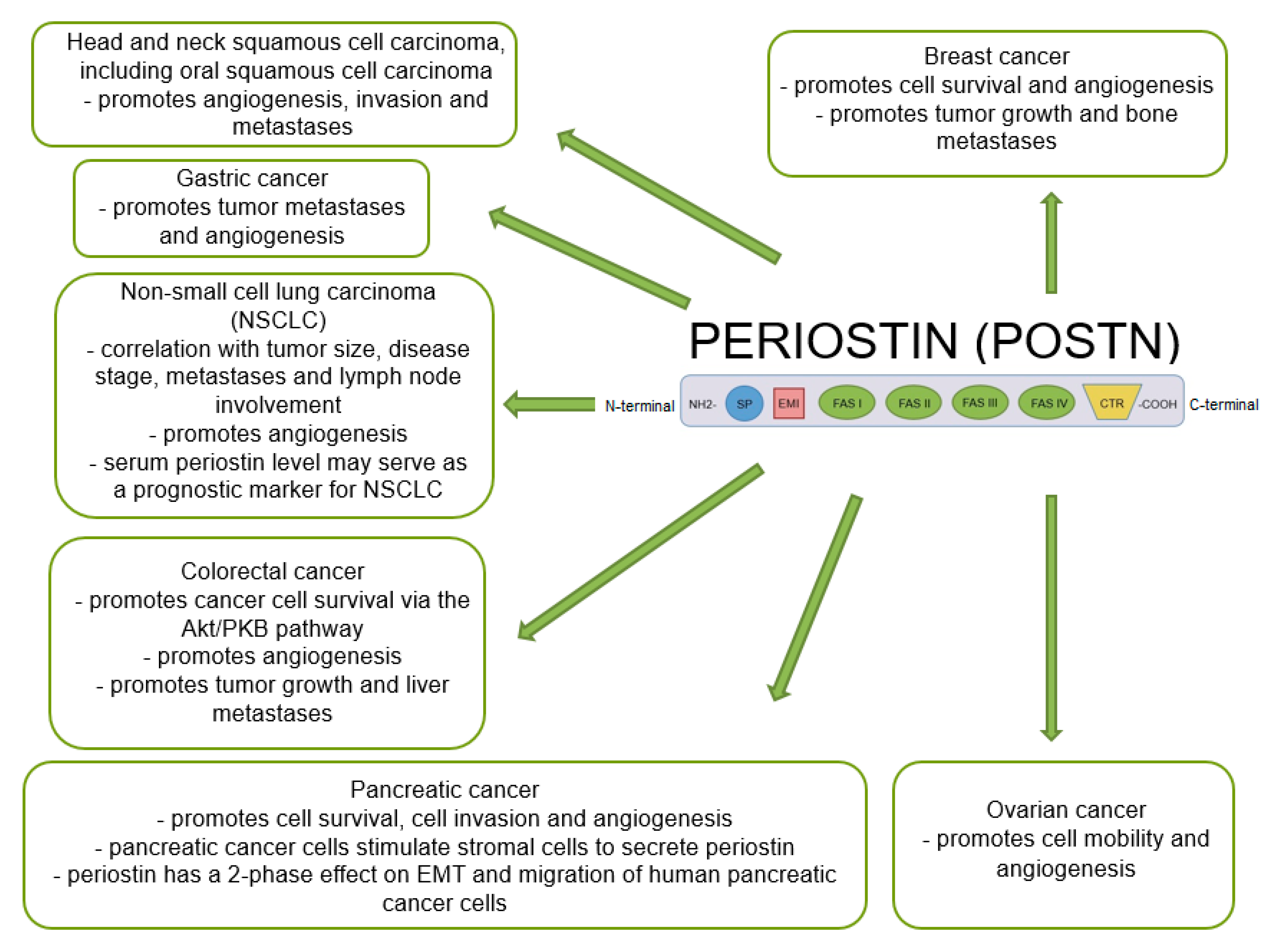 Cancers 14 04225 g005 Cancers 14 04225 g005