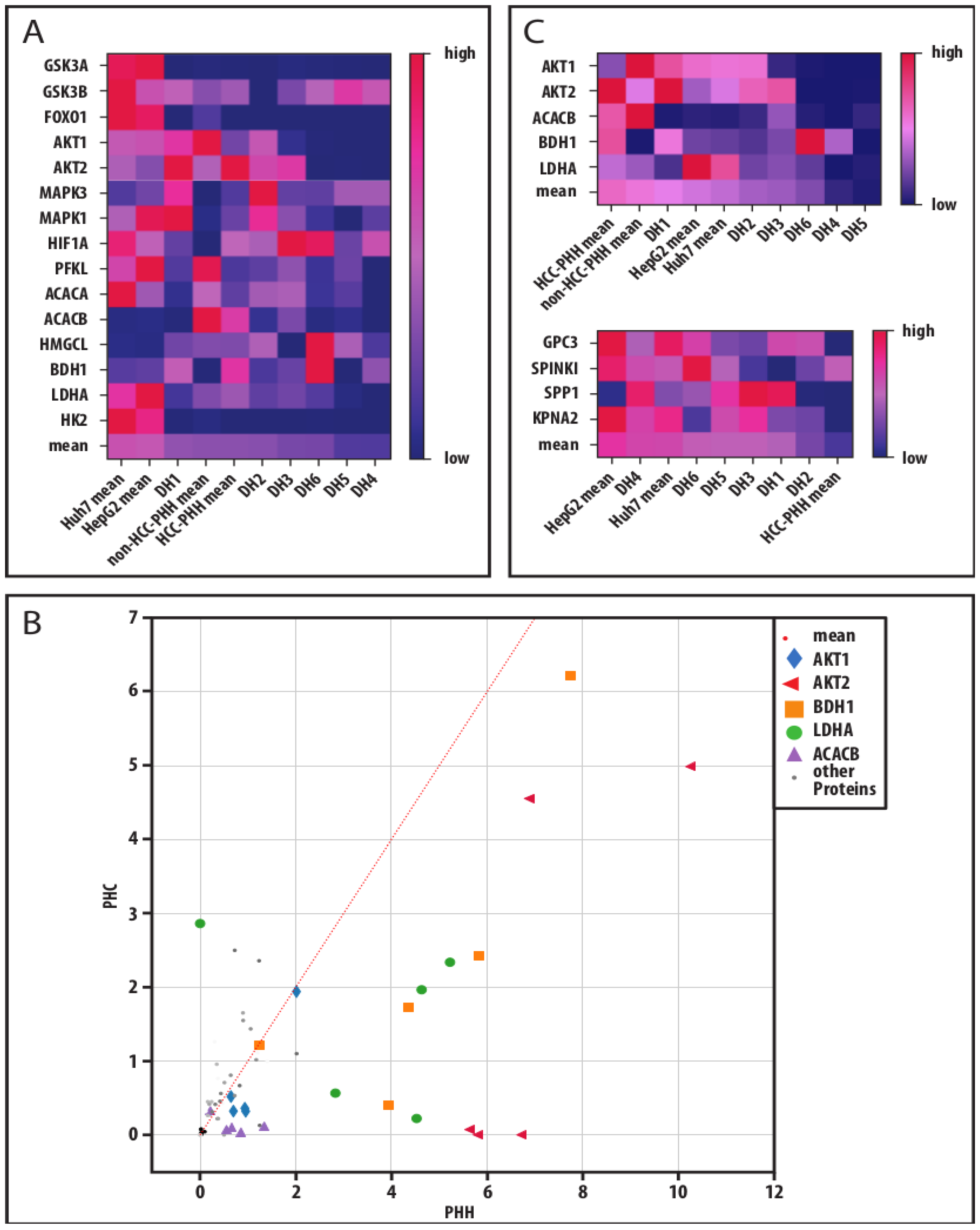 Cancers 14 04227 g006 Cancers 14 04227 g006