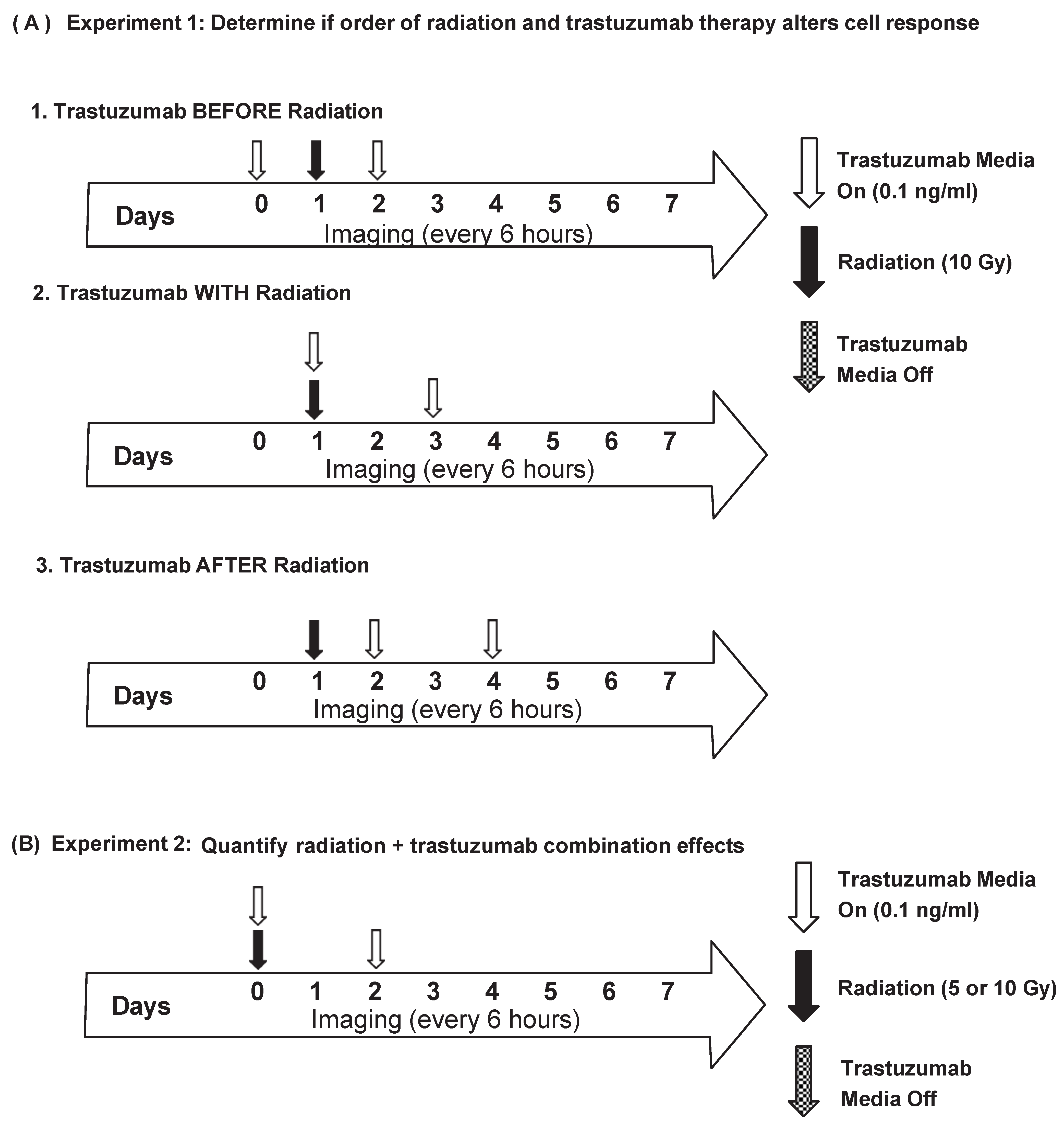 Cancers 14 04234 g001 550