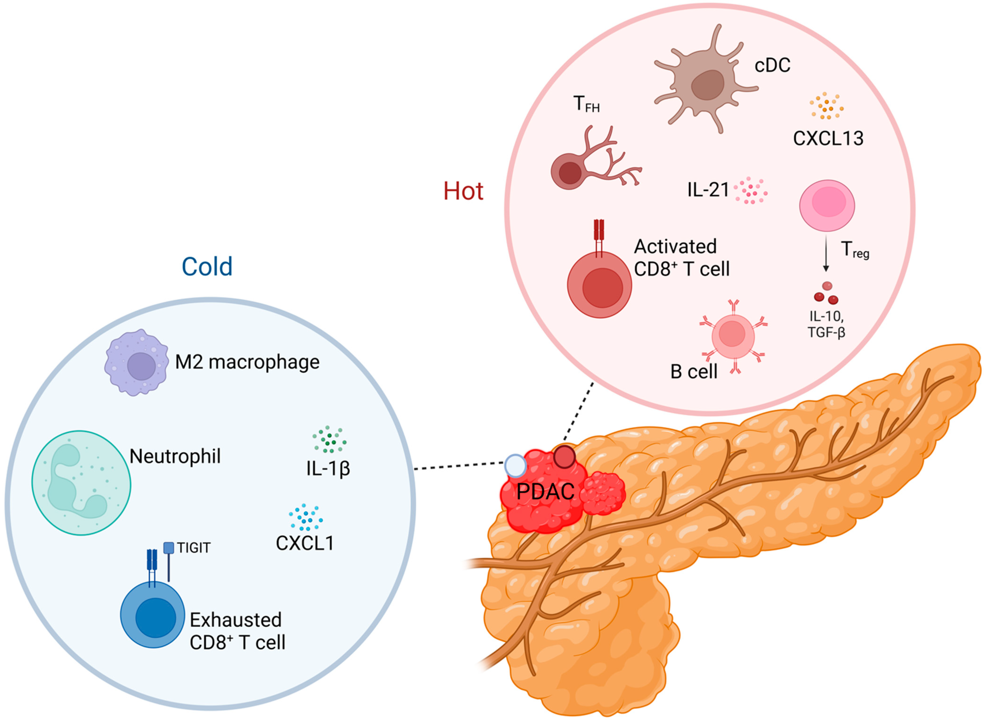 Cellular heterogeneity and immune microenvironment revealed by