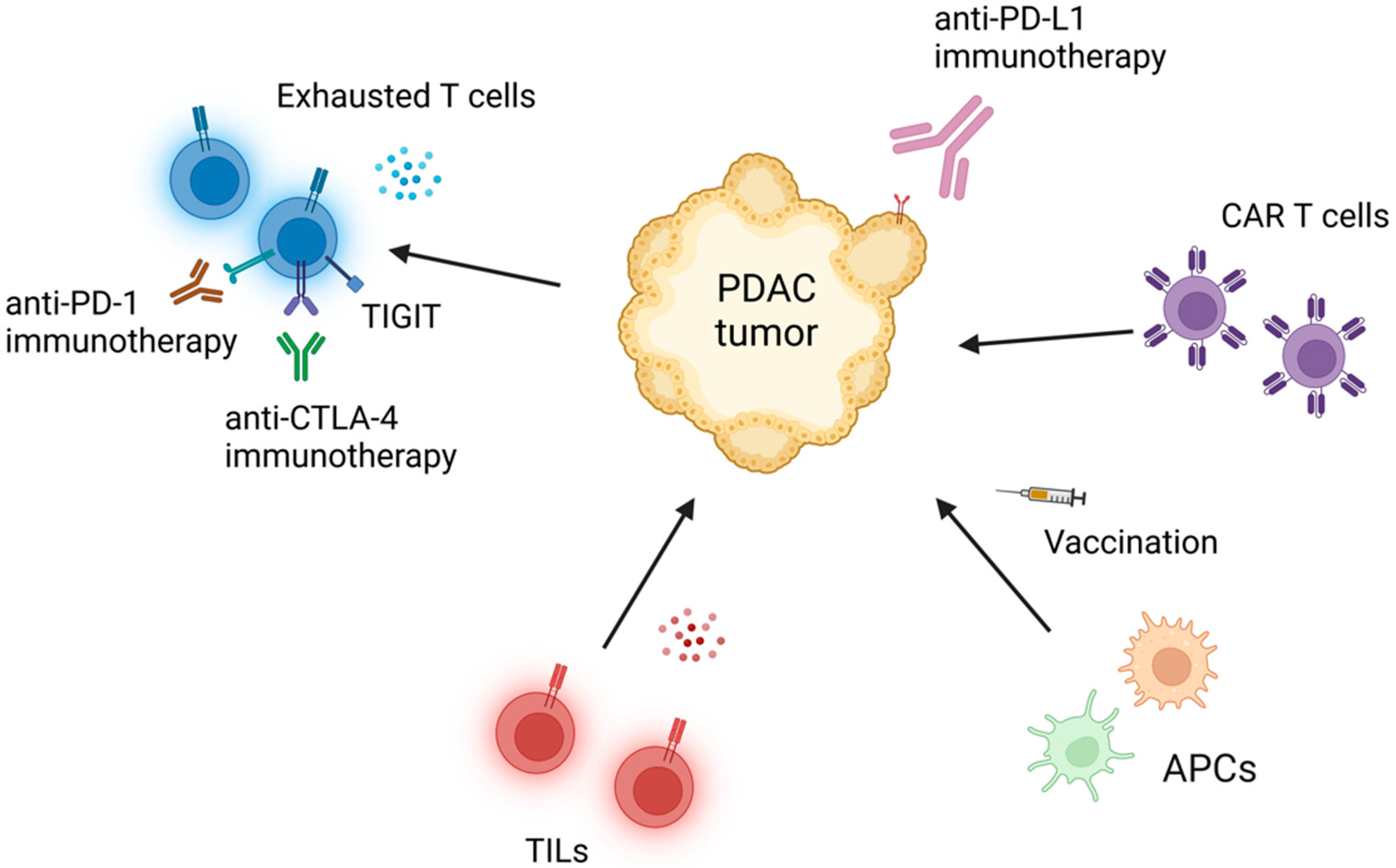 Cancers 14 04236 g002