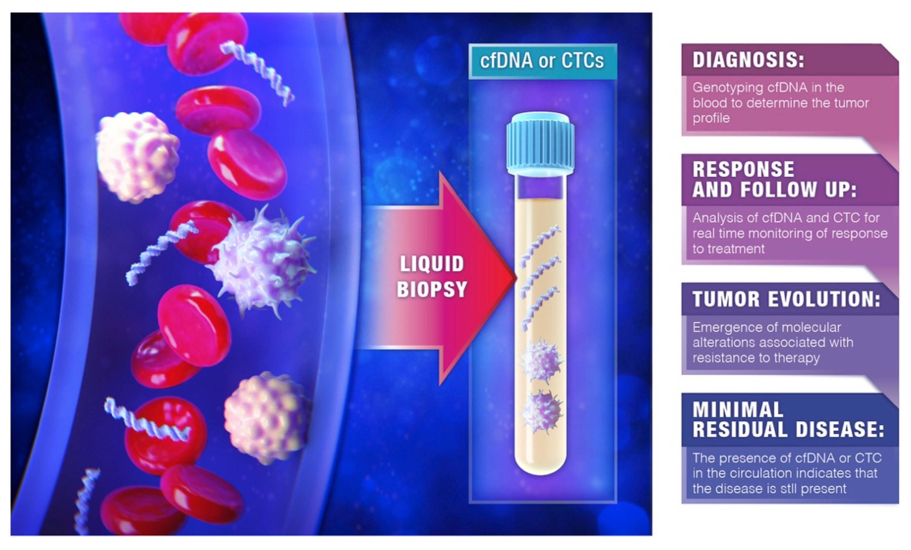 Cancers 14 04237 g002