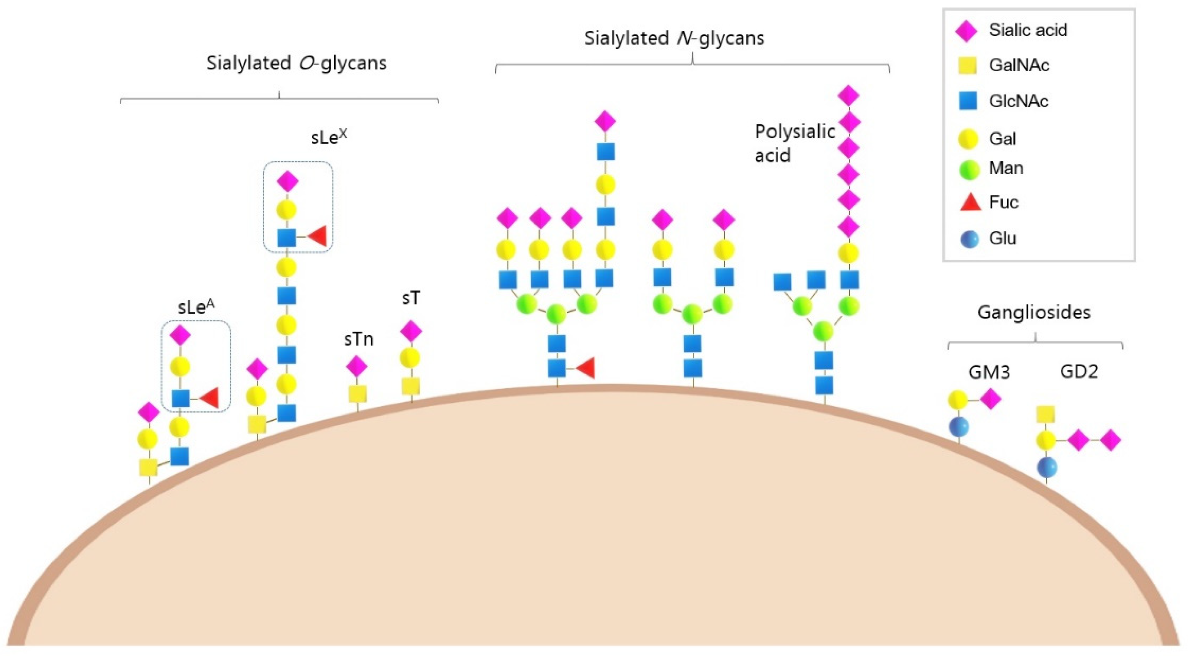 Cancers 14 04248 g001
